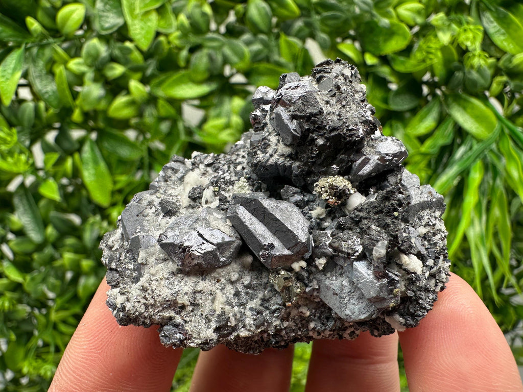 Stunning Shpinel Galena on Sphalerite from Borieva mine,Madan,Bulgaria,Natural,collectible mineral specimen,home decor,collectible’s crystal