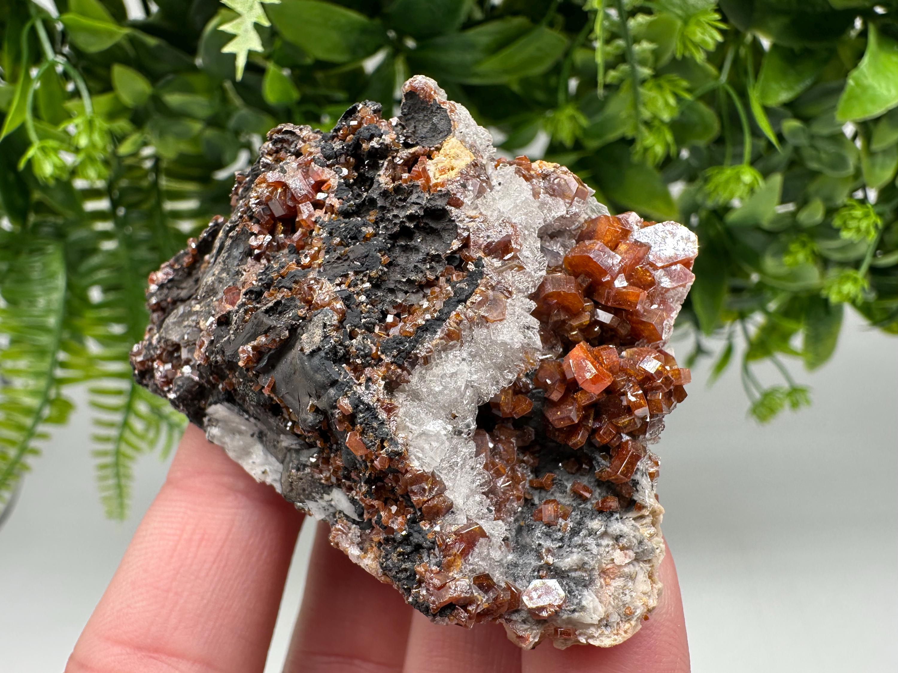 Red Vanadinite on Barite from Marocco,crystal minerals Speciment cluster Vanadinite crystal Vanadinite Geology Vanadinite cluster minerals