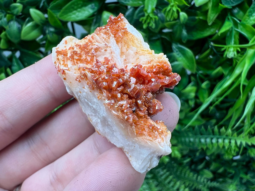 Red Vanadinite on Barite Specimen, Morocco Crystal Mineral