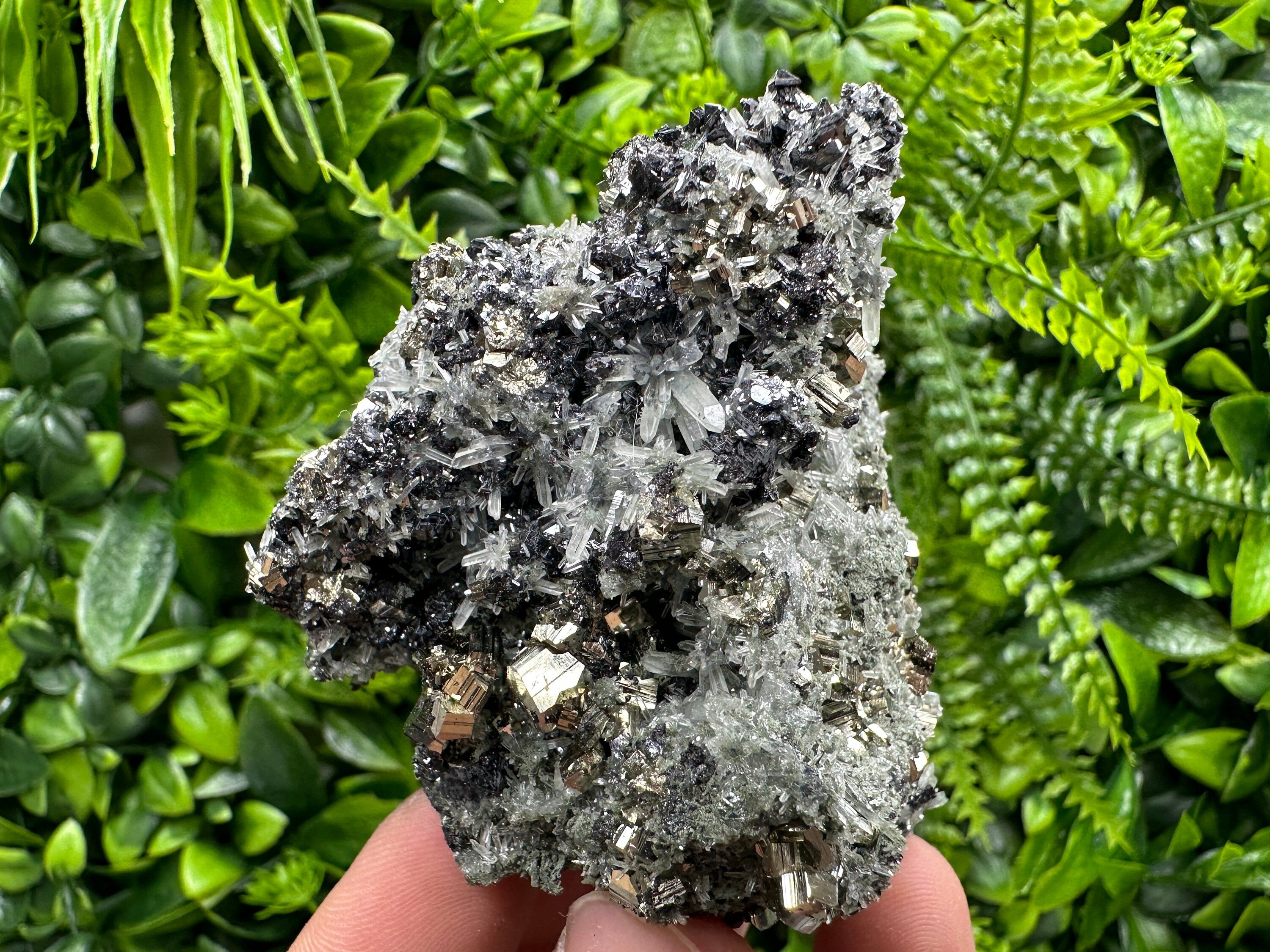 Pyrite on Quartz with Chlorite, Natural Crystal Decor, Borieva Bulgaria