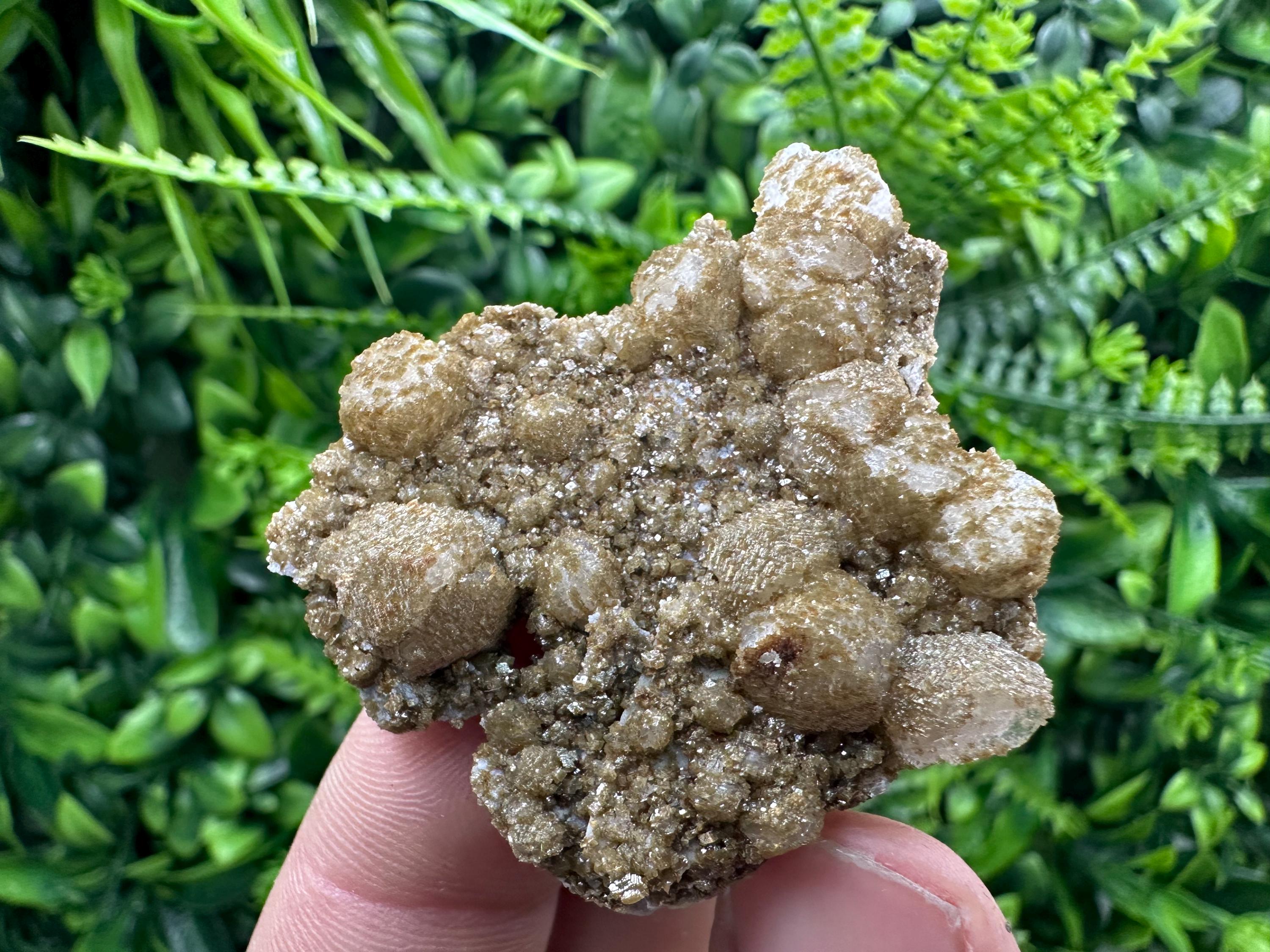 Brown Rhodochrosite on Calcite, Djurcovo Bulgaria, Mineral Specimen