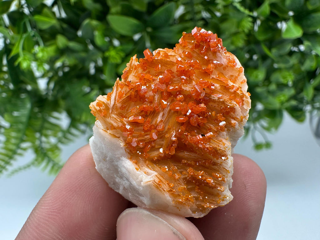 Red Vanadinite on Barite from Marocco,crystal minerals Speciment cluster Vanadinite crystal Vanadinite Geology Vanadinite cluster minerals