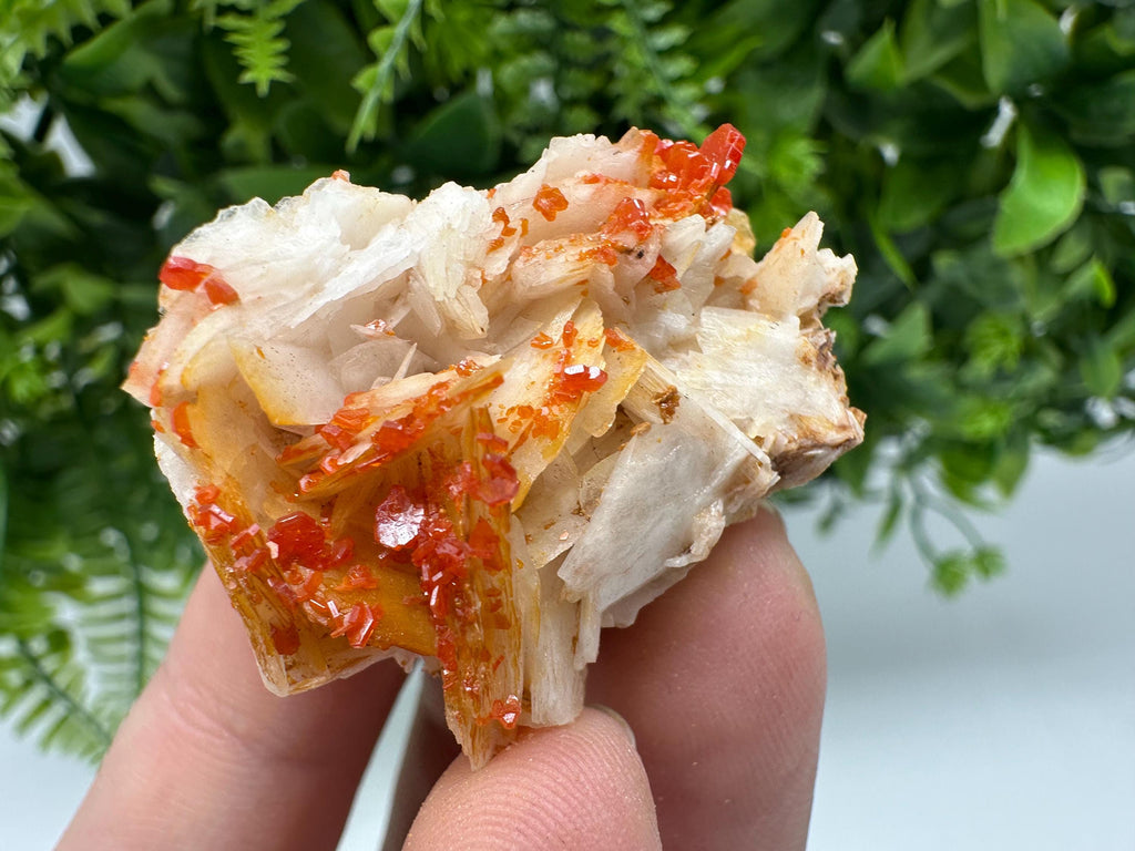 Red Vanadinite on Barite from Marocco,crystal minerals Speciment cluster Vanadinite crystal Vanadinite Geology Vanadinite cluster minerals