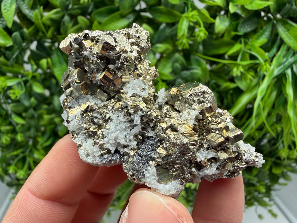 Pyrite Sphalerite Quartz  Mineral Specimen, Krushev dol Mine