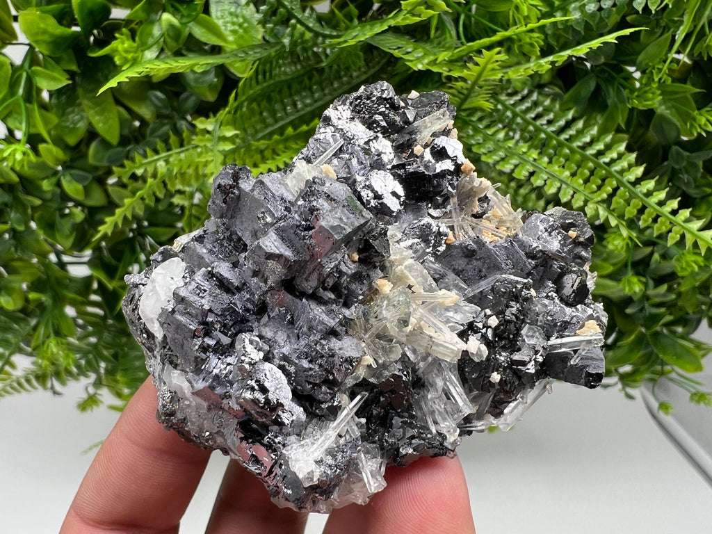 Galena Sphalerite Quartz Mineral Specimen, Krushev dol Mine, Bulgaria