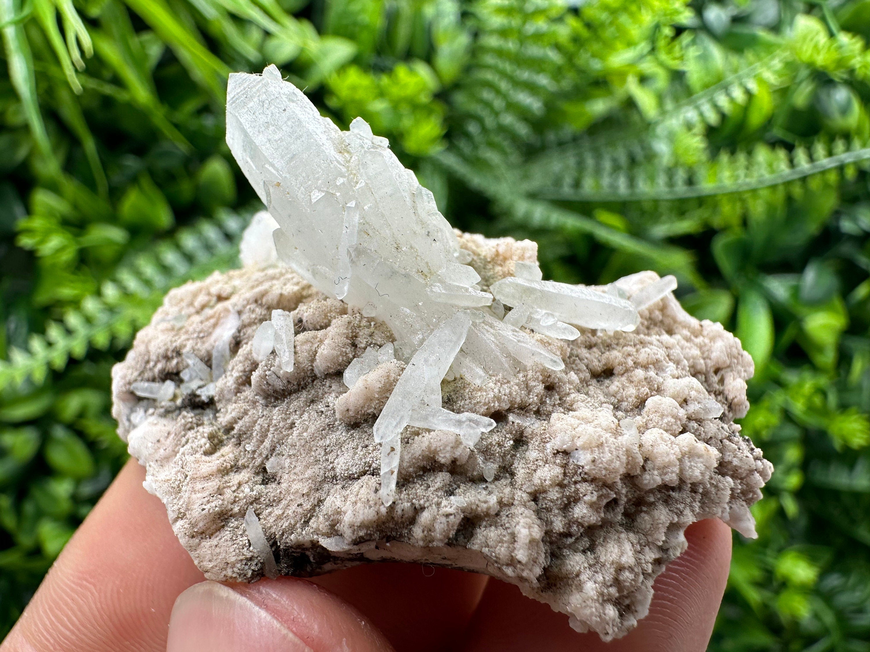 Quartz with Chlorite, Rhodochrosite, Siderite - Mineral Specimen
