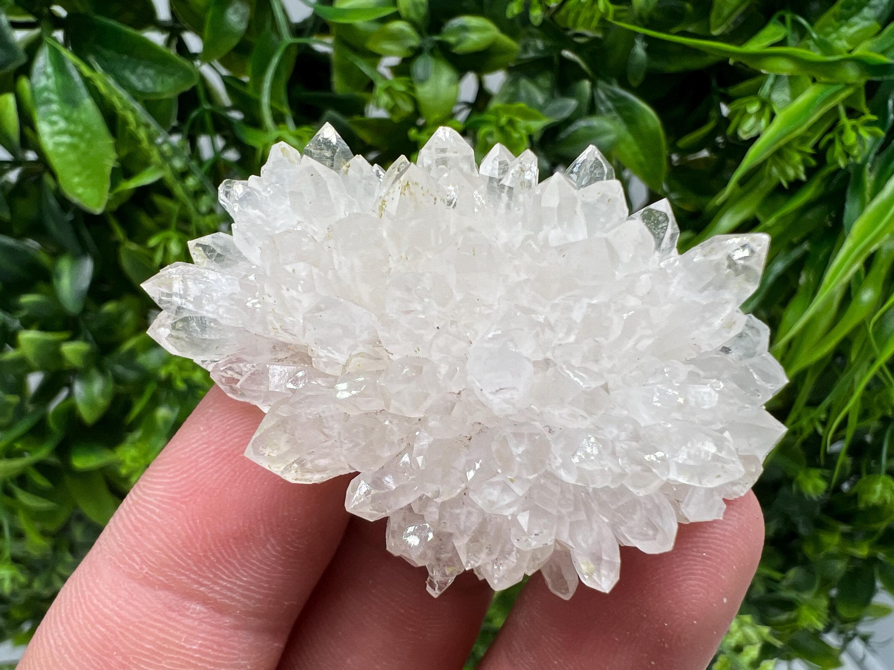 Stunning Transparent Quartz,from Borieva mine,natural collection mineral specimen rare crystal,home decor crystal,quartz cluster,Quartz,gift