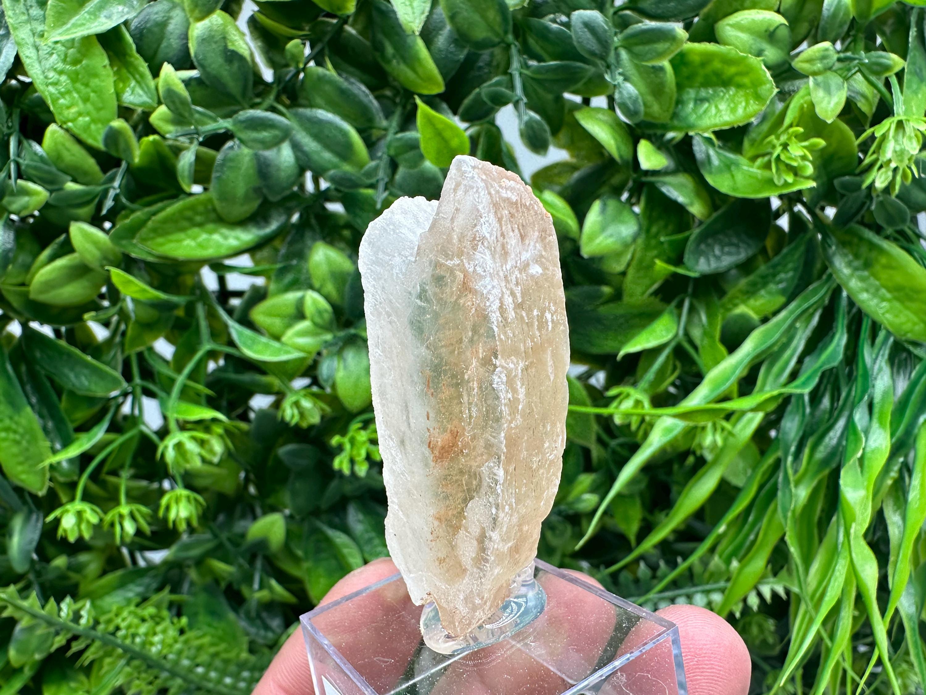 Raw Utah Golden Phantom Selenite Slab: Fishtail Selenite Wand