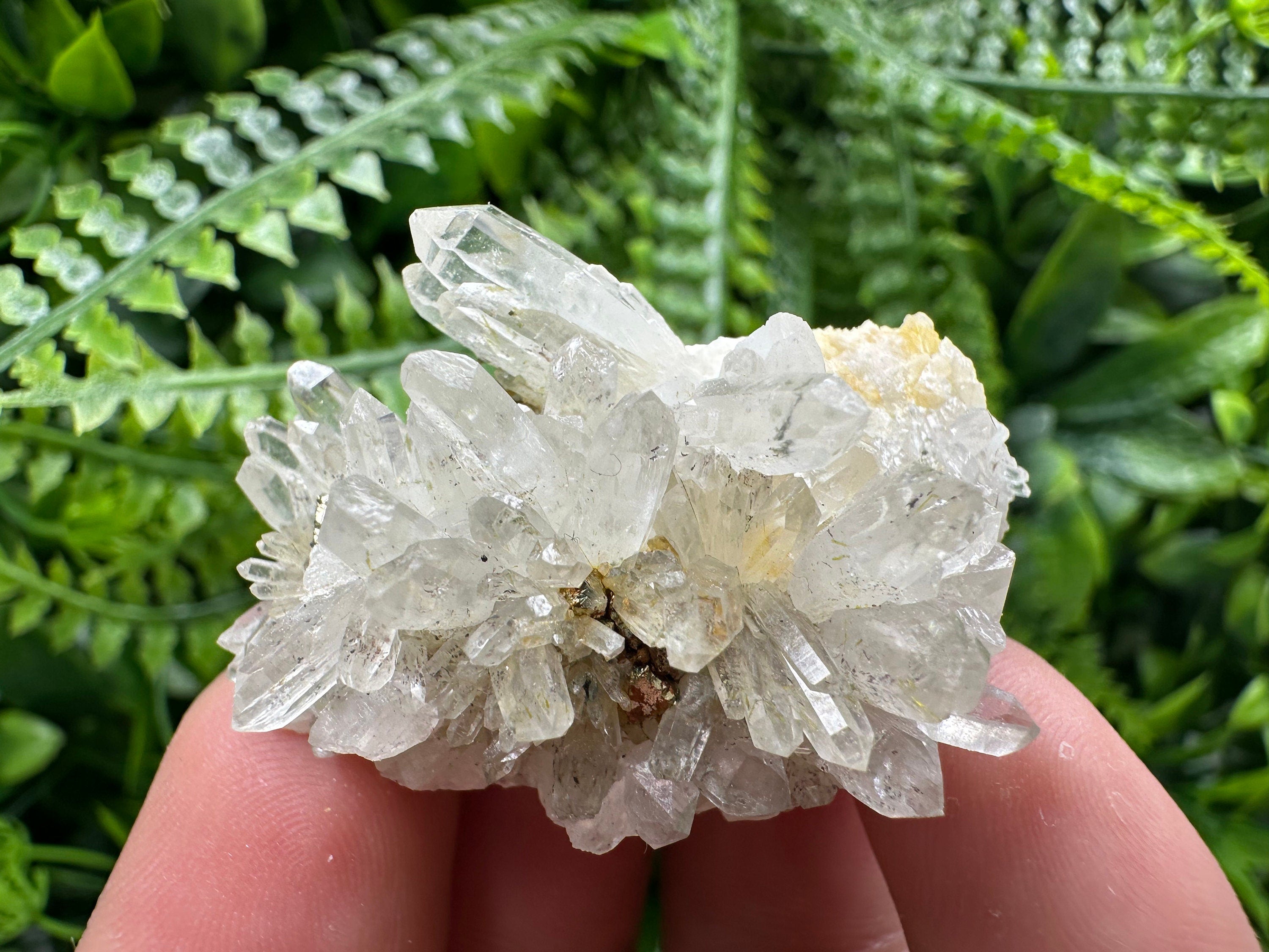 Quartz with Pyrite, Djurcovo Mine Bulgaria, Mineral Souvenir