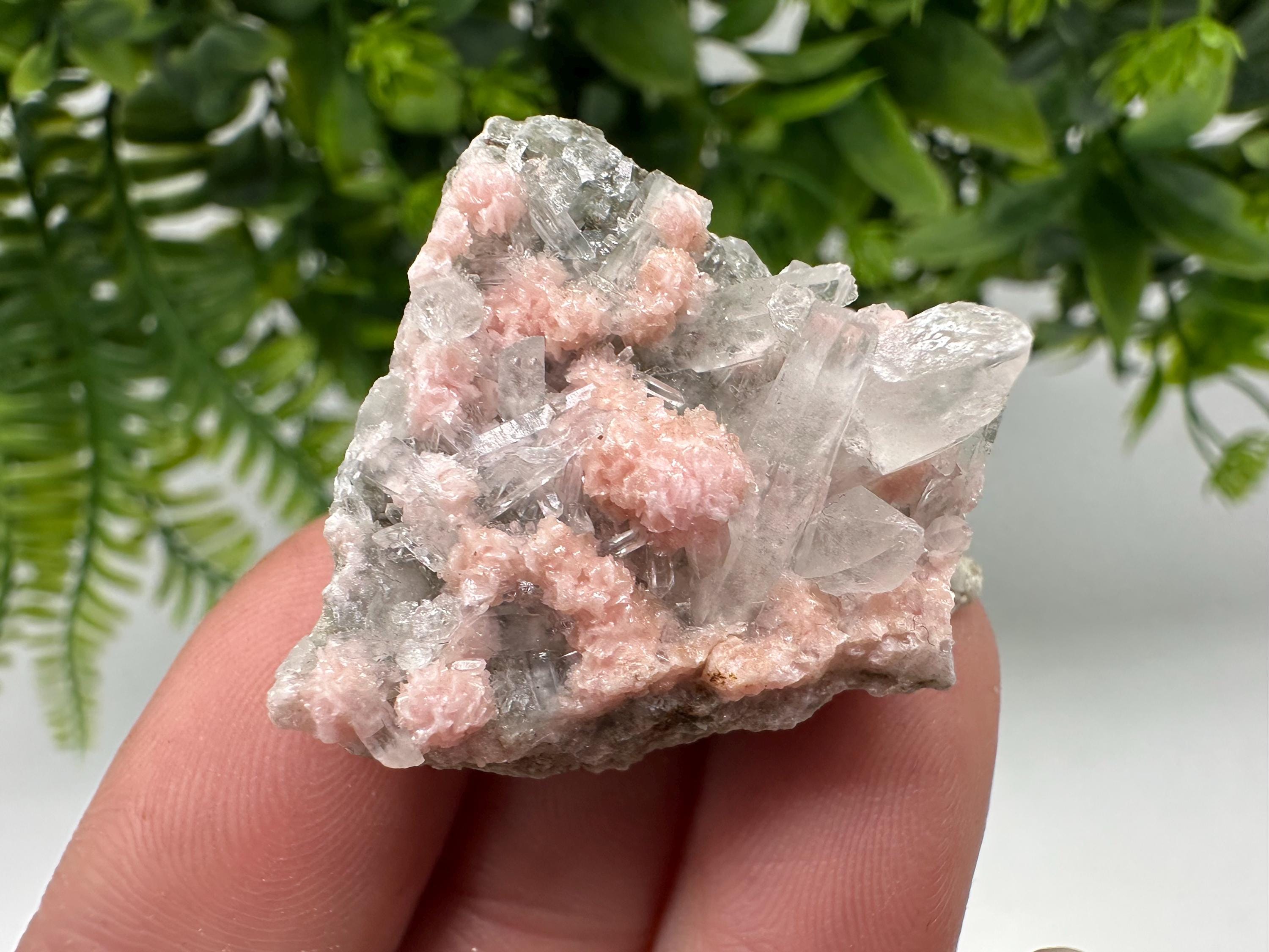 Pink Rhodochrosite Crystal: Starnica Mine, Bulgaria, Home Decor