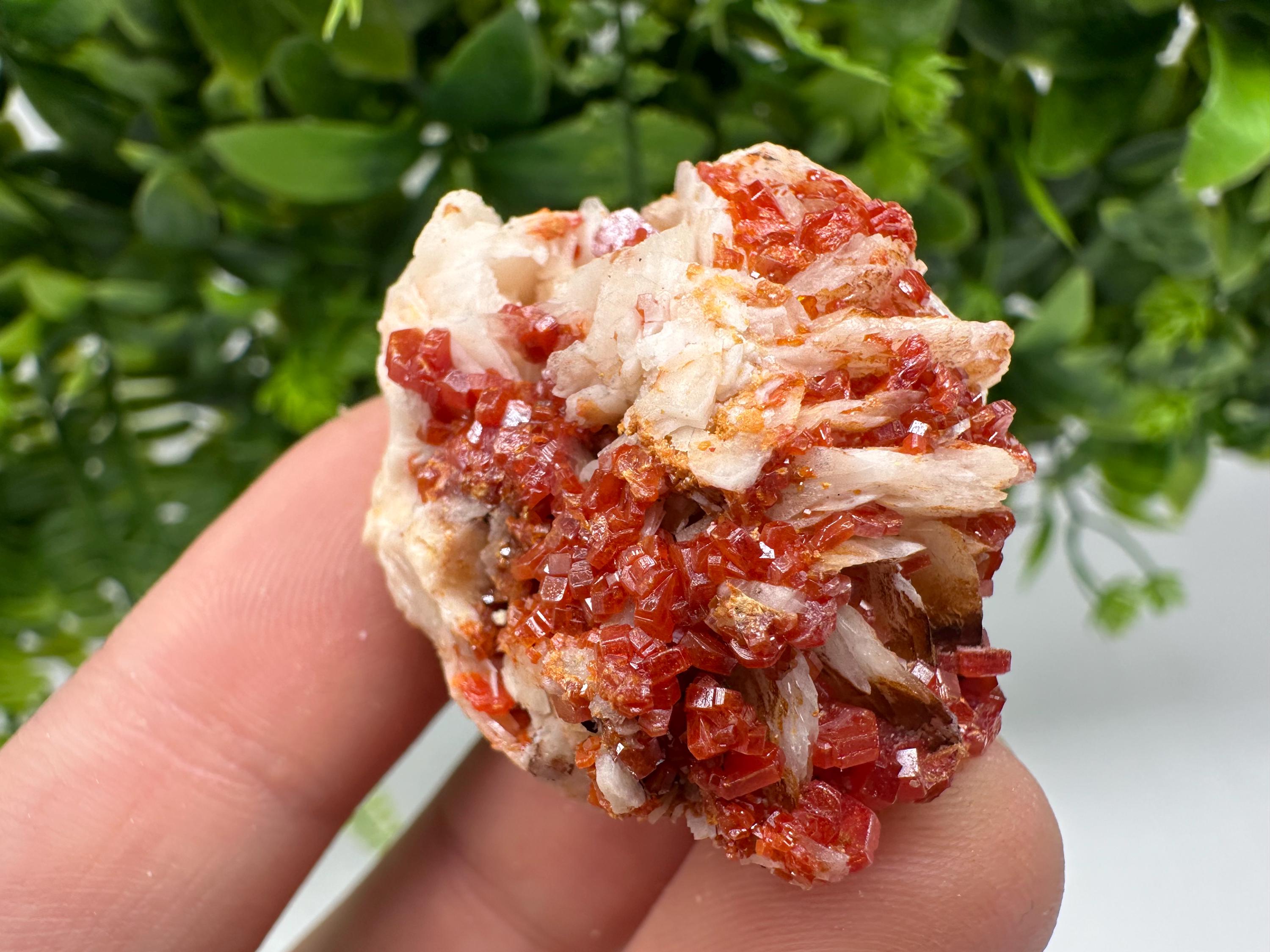 Red Vanadinite on Barite from Marocco,crystal minerals Speciment cluster Vanadinite crystal Vanadinite Geology Vanadinite cluster minerals