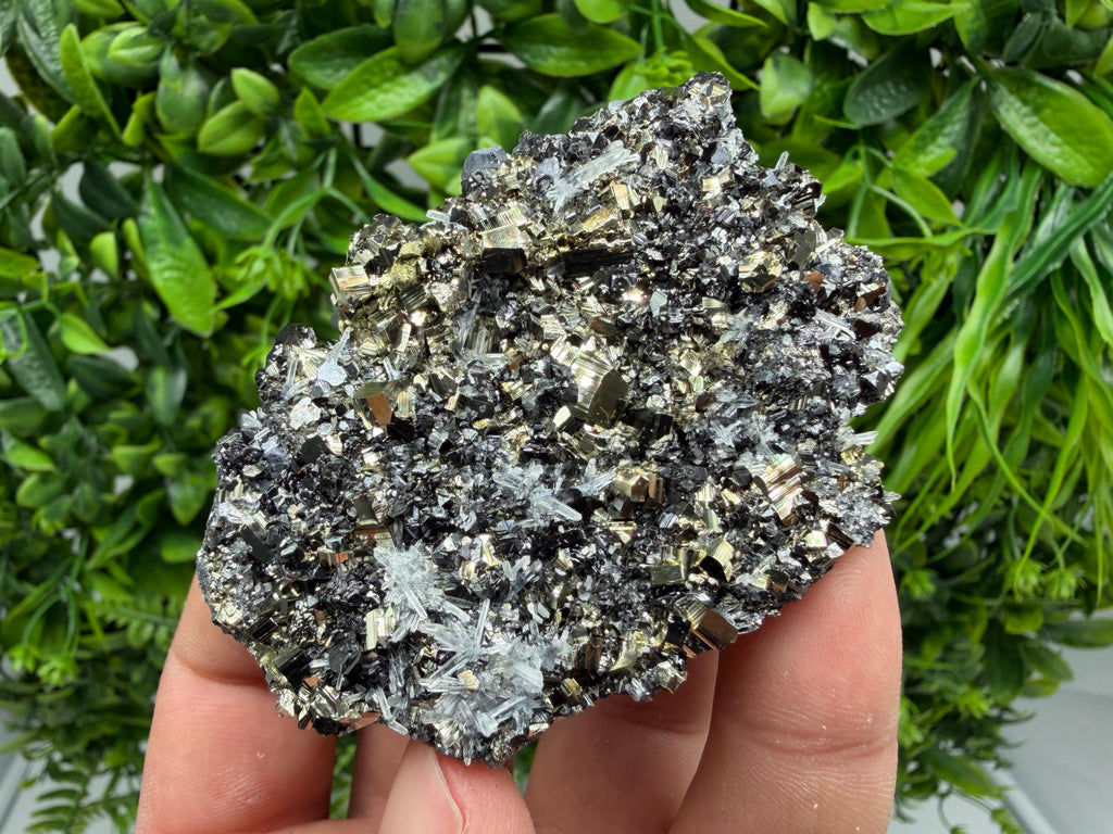 Pyrite Sphalerite Quartz  Mineral Specimen, Krushev dol Mine