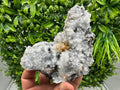 Chalcedony Micro Crystal Specimen: Krushev Dol Mineral Collection