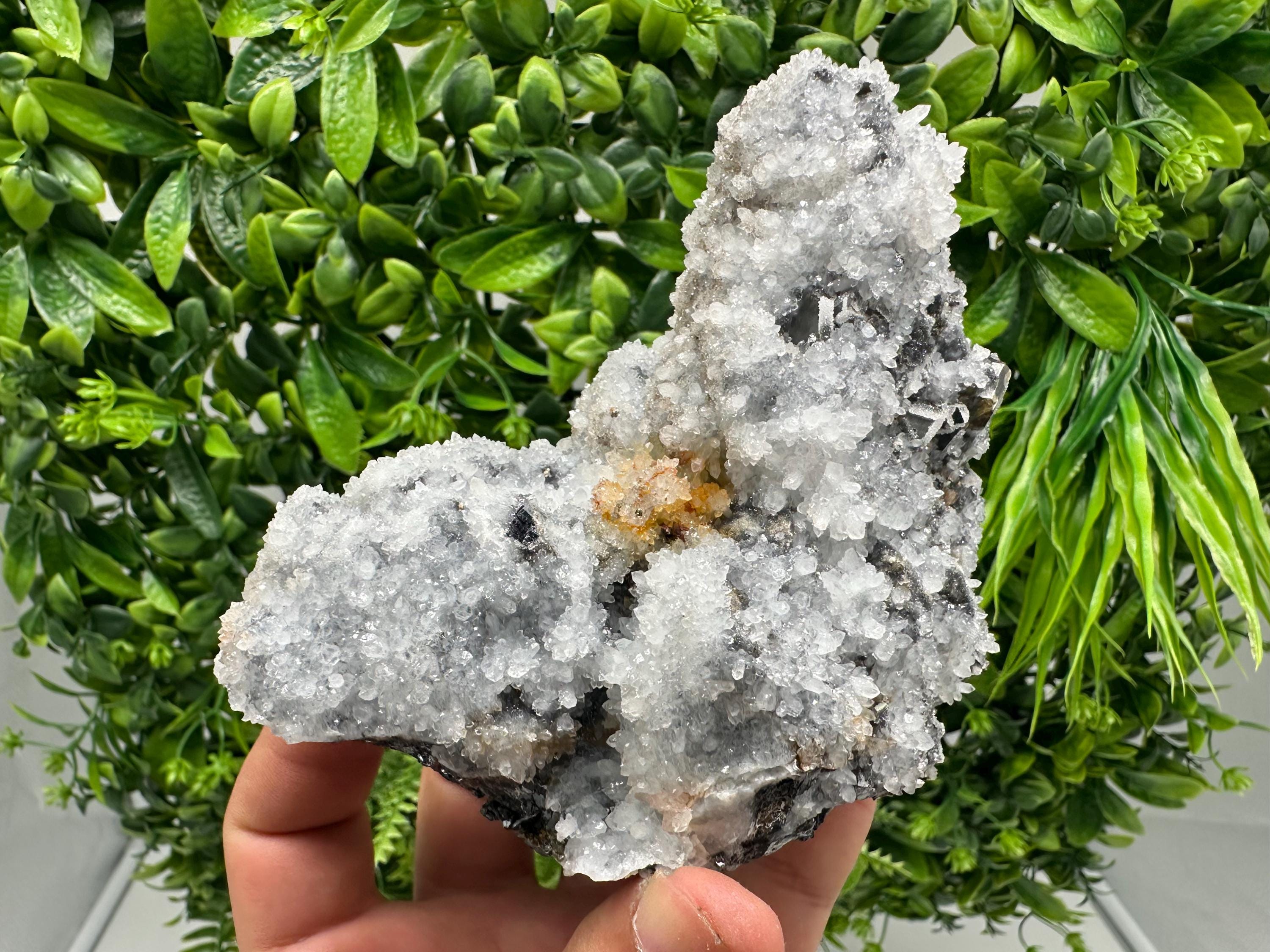 Chalcedony Micro Crystal Specimen: Krushev Dol Mineral Collection