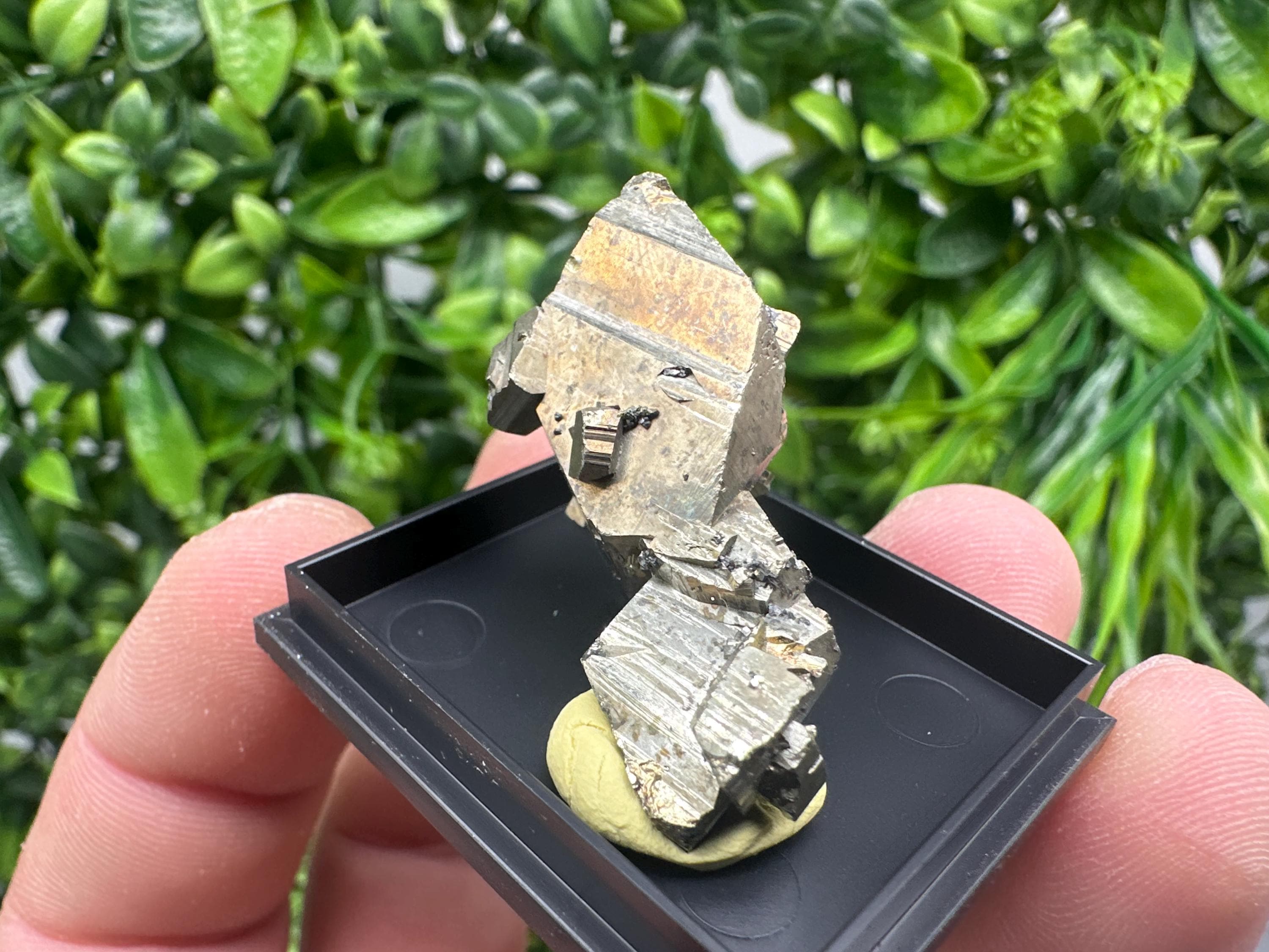 Rare Crystallized Pyrite Cluster - Borieva Mine, Bulgaria
