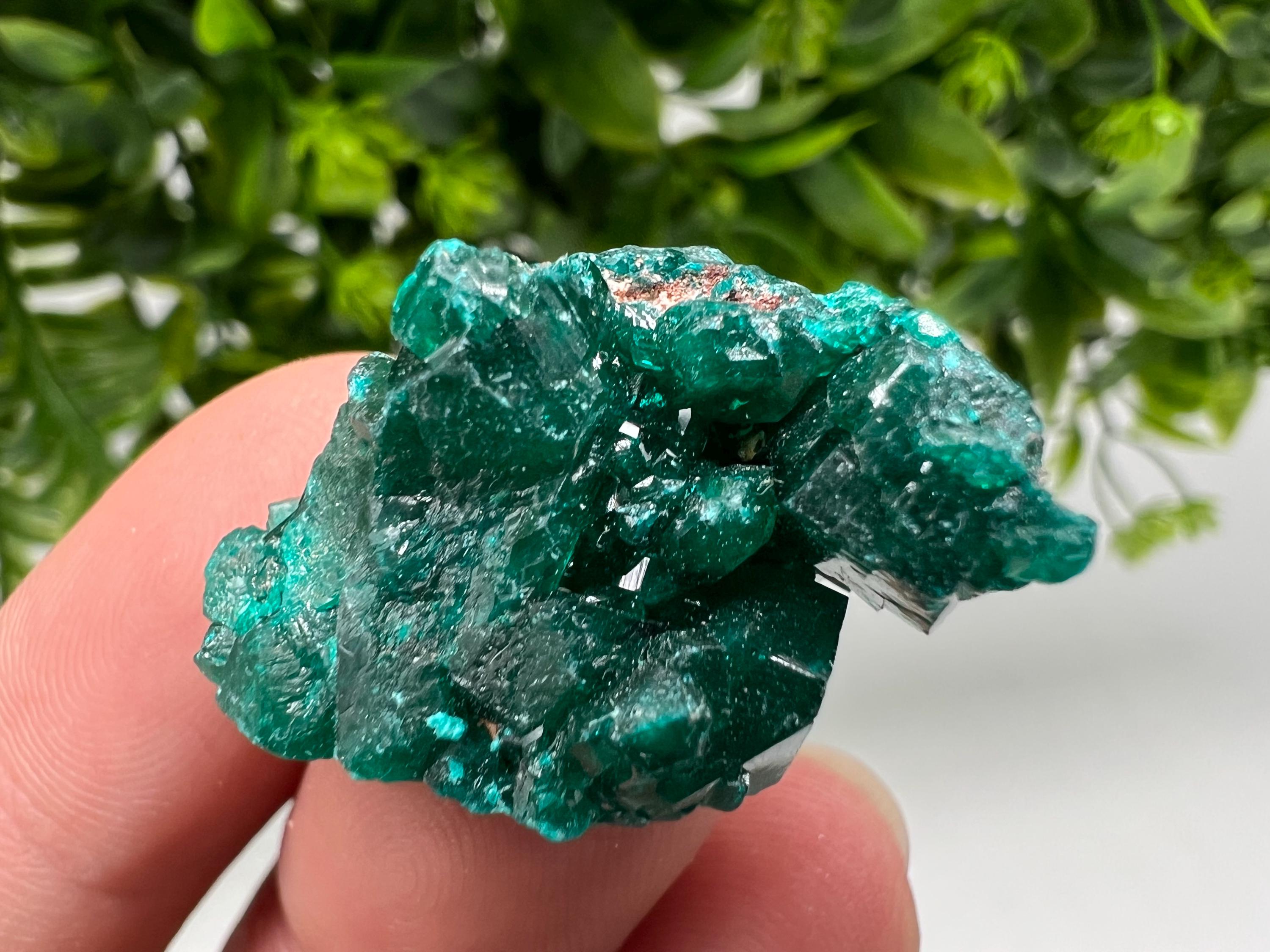 Stunning Green Dioptase from Sanda Hills,Mindouli,Pool Department,Mindouli District,Congo,green Dioptase,Dioptas Crystal,Dioptase collecting