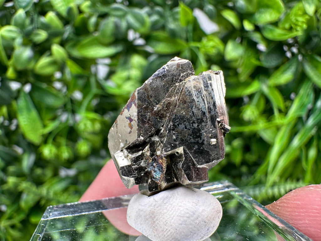 Rare Crystallized Pyrite Specimen: Borieva Mine, Bulgaria