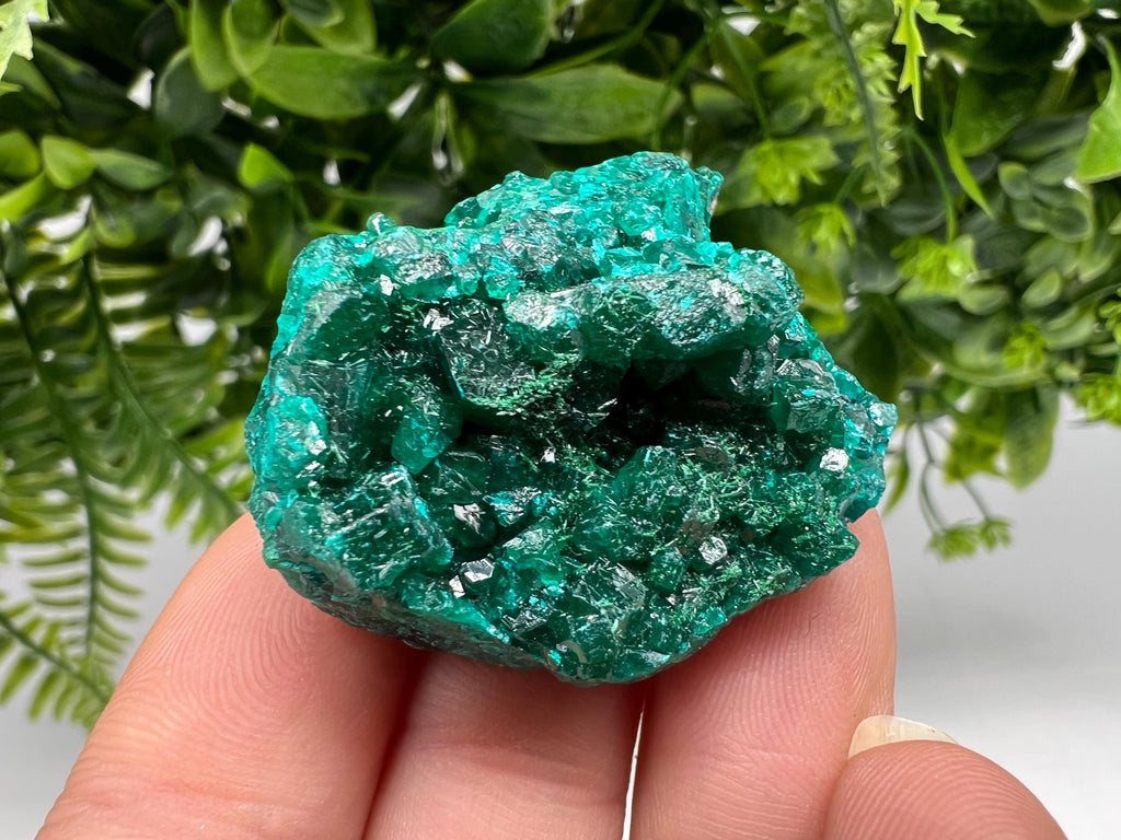 Stunning Green Dioptase from Sanda Hills,Mindouli,Pool Department,Mindouli District,Congo,green Dioptase,Dioptas Crystal,Dioptase collecting