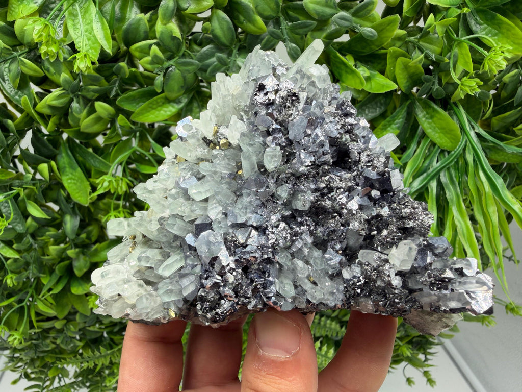 Galena Sphalerite Pyrite on Quartz, Borieva Mine, Bulgaria
