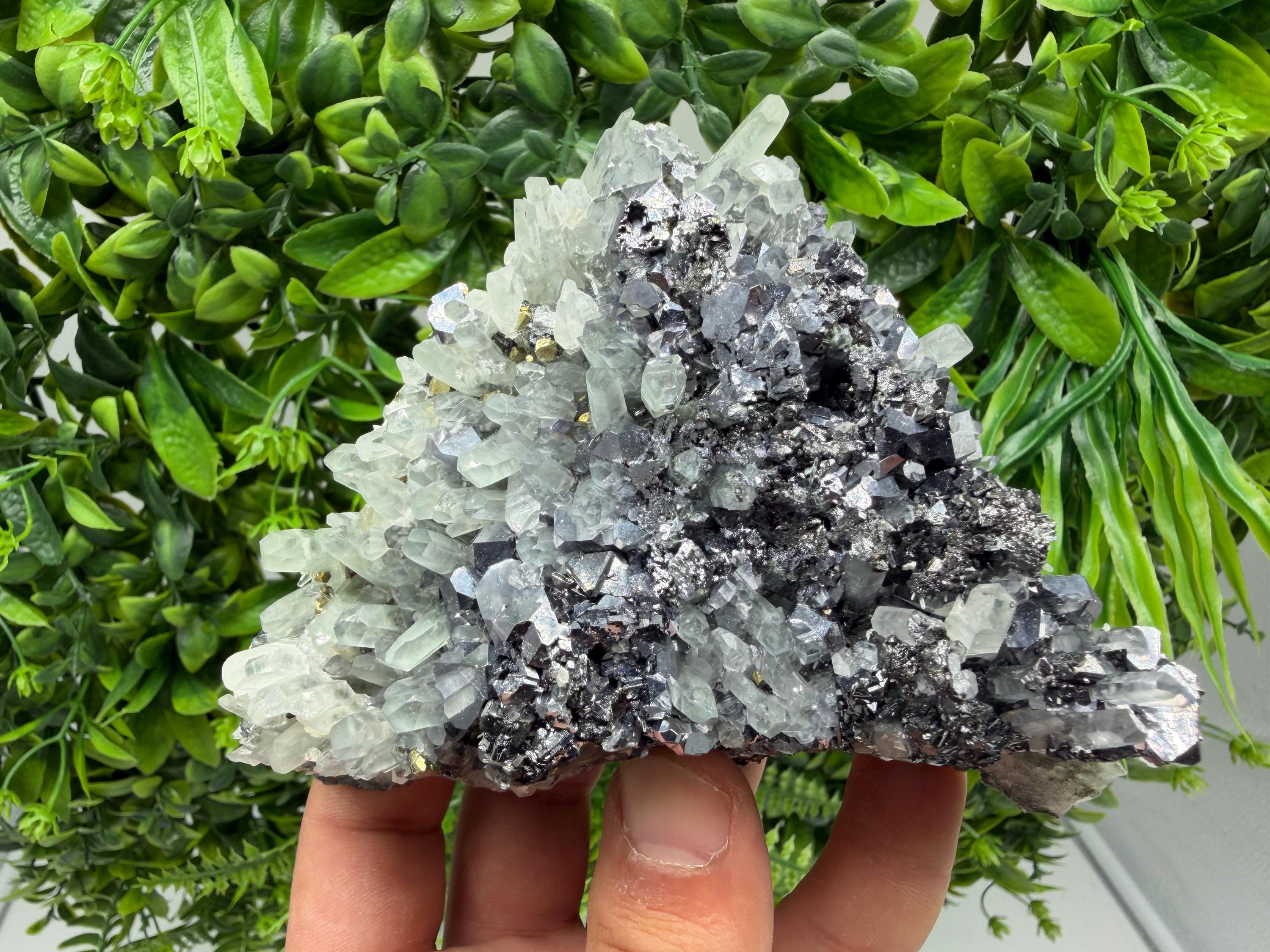 Galena Sphalerite Pyrite on Quartz, Borieva Mine, Bulgaria