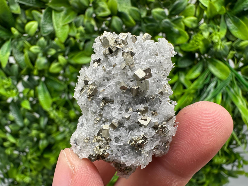 Pyrite on Green Quartz Mineral Specimen, Borieva Mine Bulgaria