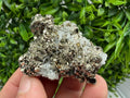 Pyrite Sphalerite Quartz  Mineral Specimen, Krushev dol Mine