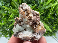 Stunning Quartz whit Chlorite on Rhodochrosite covered whit siderite natural minerals souvenir crystal home decor stone 9th September mine