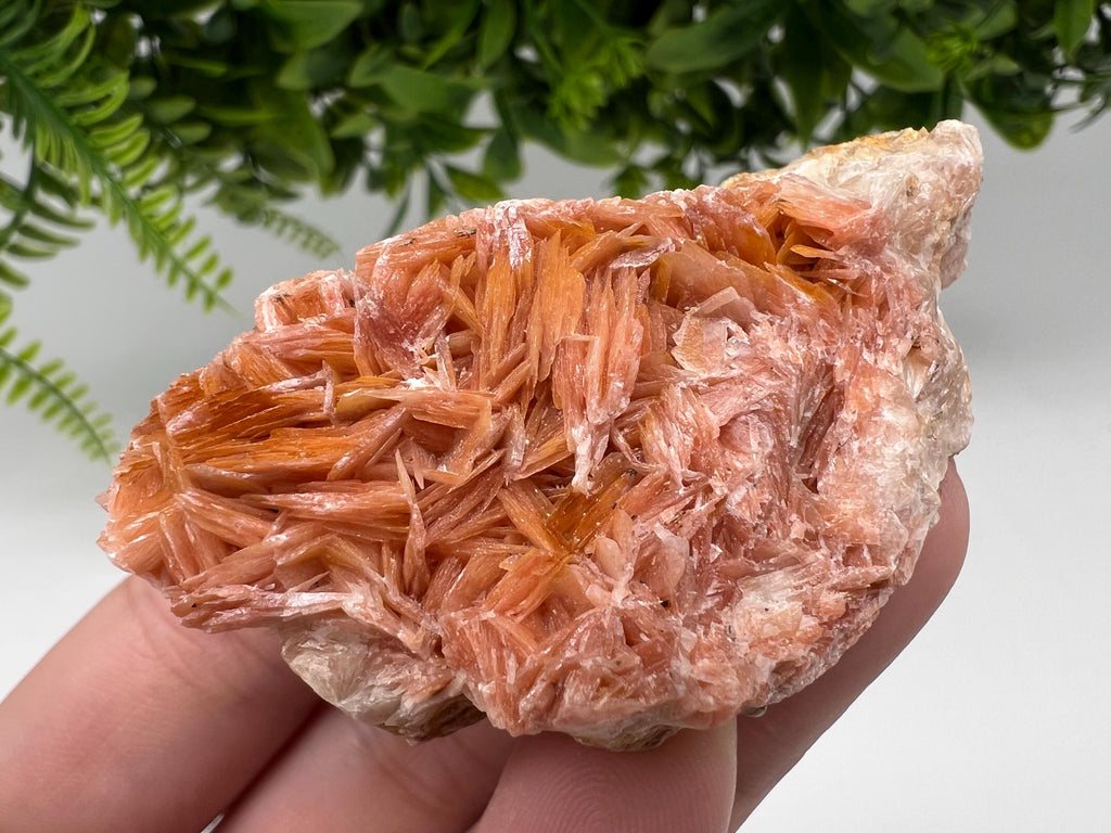 Wonderful Baryte with Cerussite on Galena from Morocco,Crystal, Mineral,Specimen,Cluster,Crystals,Barite Crystal,Cerussite Crystal,Specimen