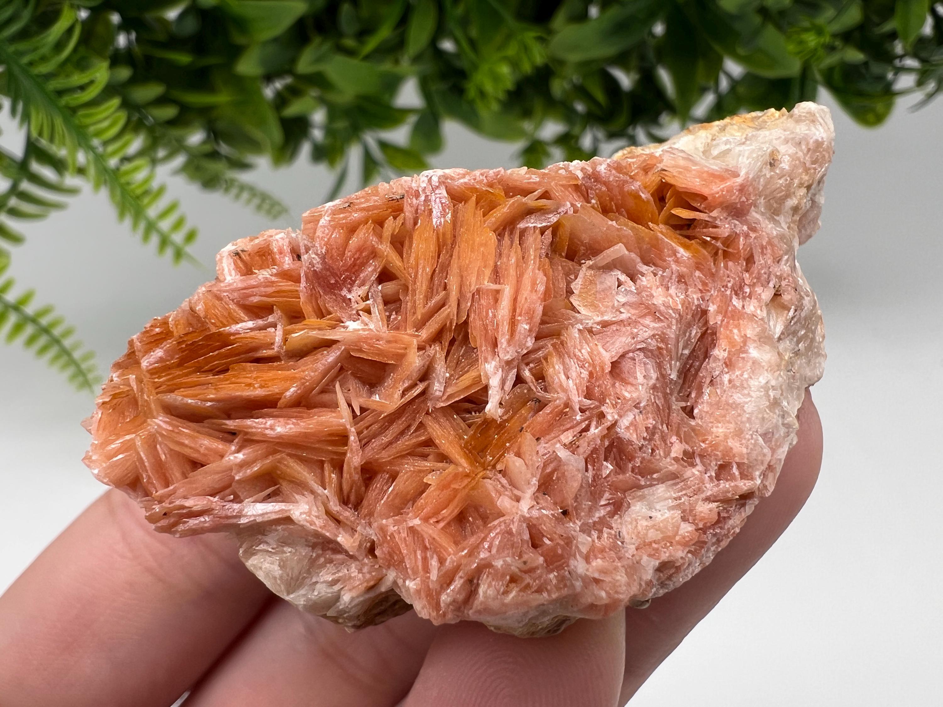 Wonderful Baryte with Cerussite on Galena from Morocco,Crystal, Mineral,Specimen,Cluster,Crystals,Barite Crystal,Cerussite Crystal,Specimen