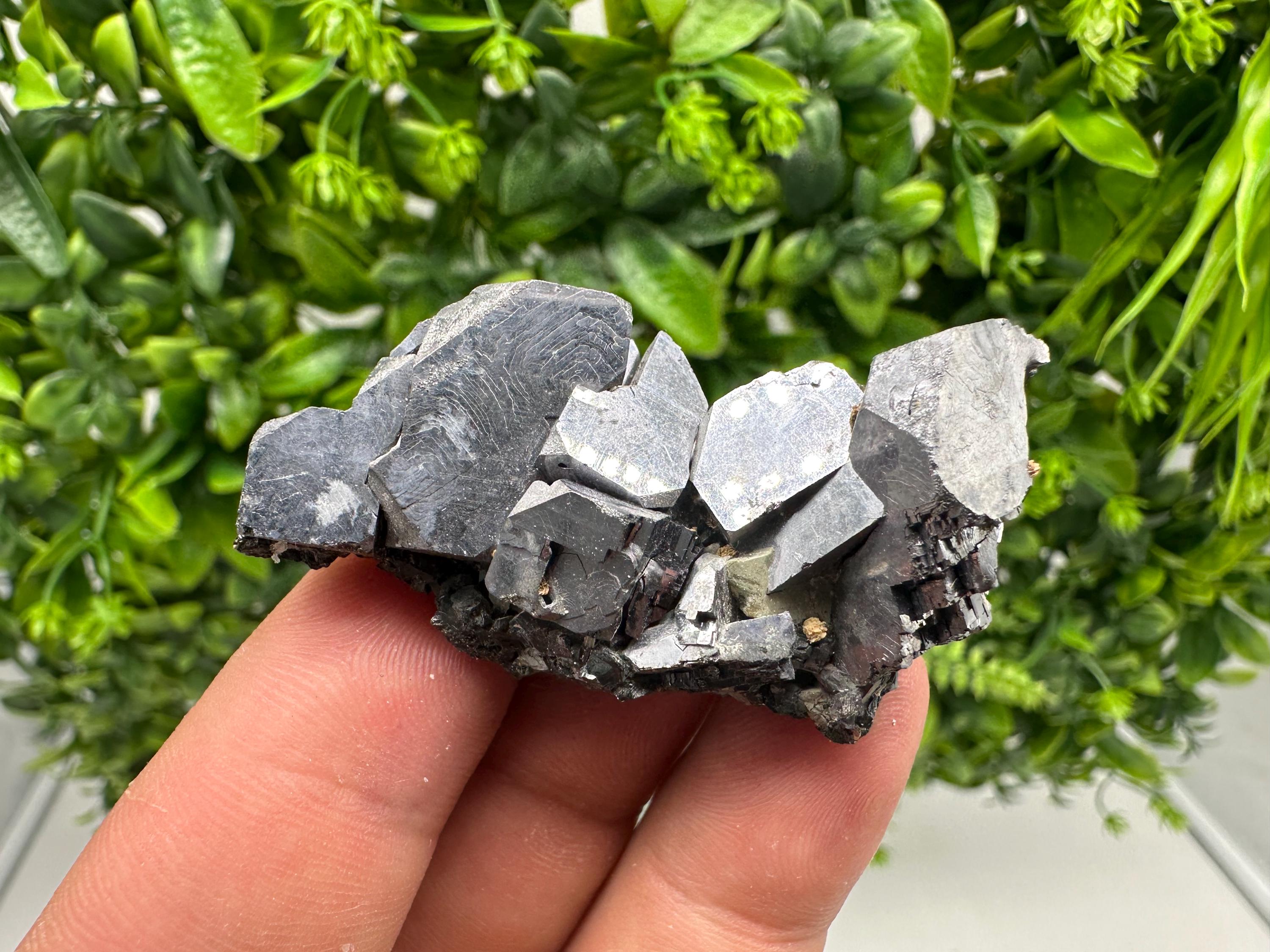 Skeletal Shiny Galena Mineral Crystal: Borieva Bulgaria Home Decor