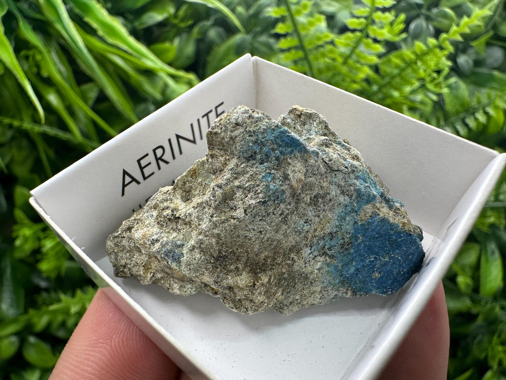 Rare Raw Aerinite Mineral Specimen: Lleida, Spain Crystal