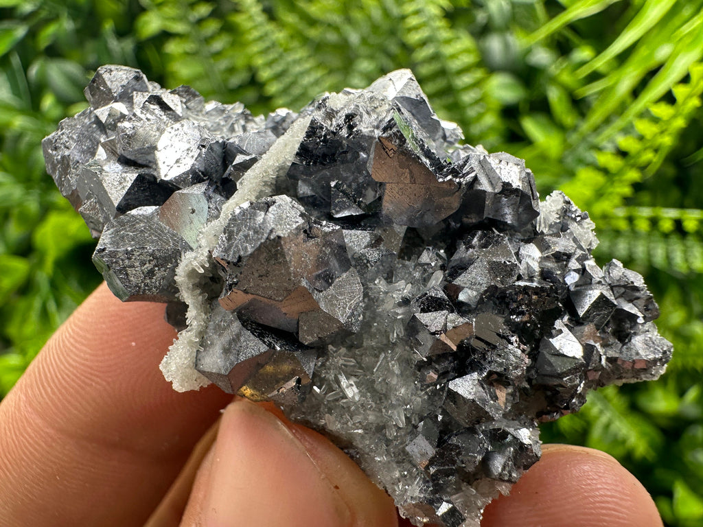 Shiny Galena on Quartz: Natural Mineral Souvenir from Bulgaria