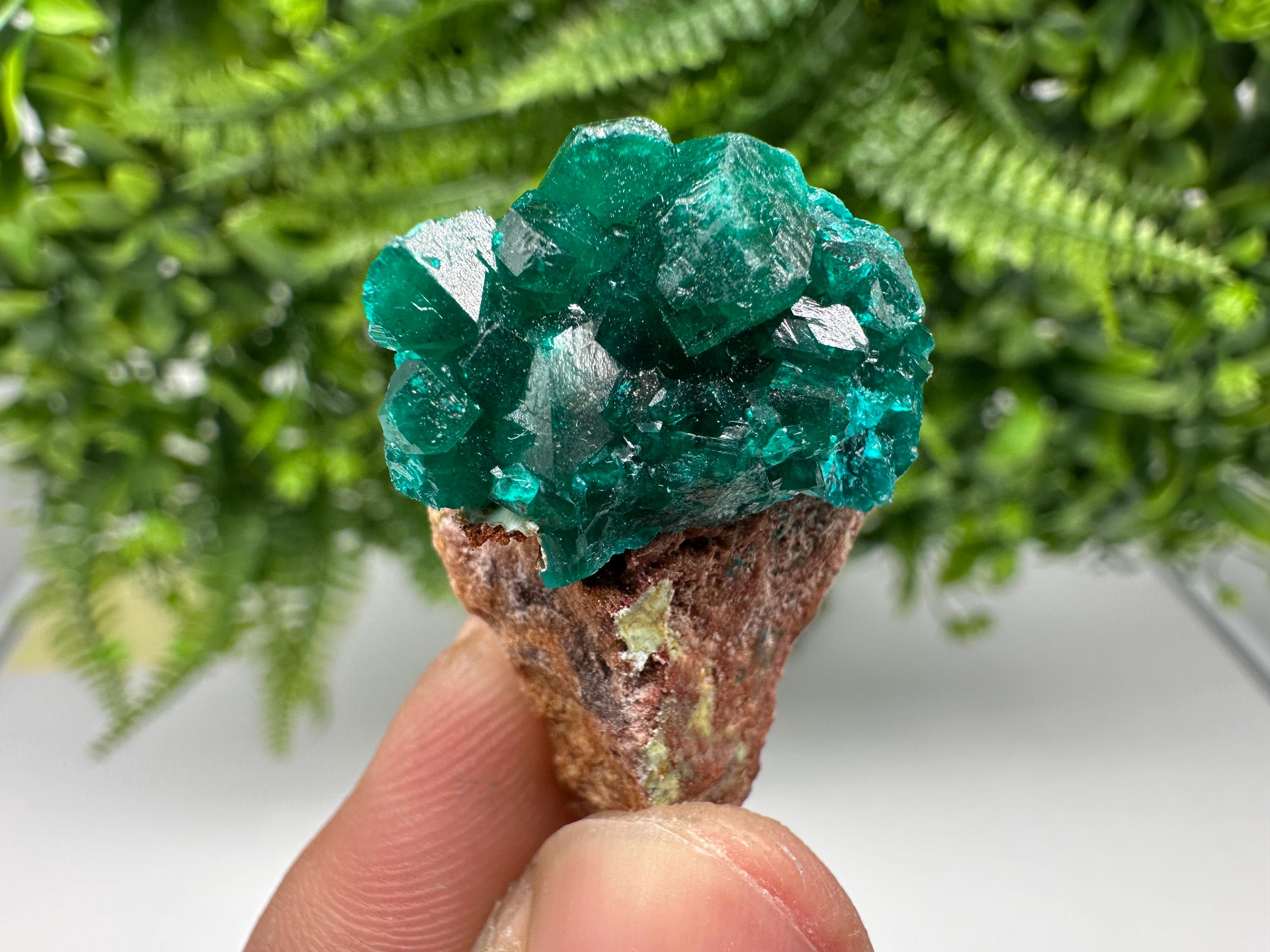 Stunning Green Dioptase from Sanda Hills,Mindouli,Pool Department,Mindouli District,Congo,green Dioptase,Dioptas Crystal,Dioptase collecting