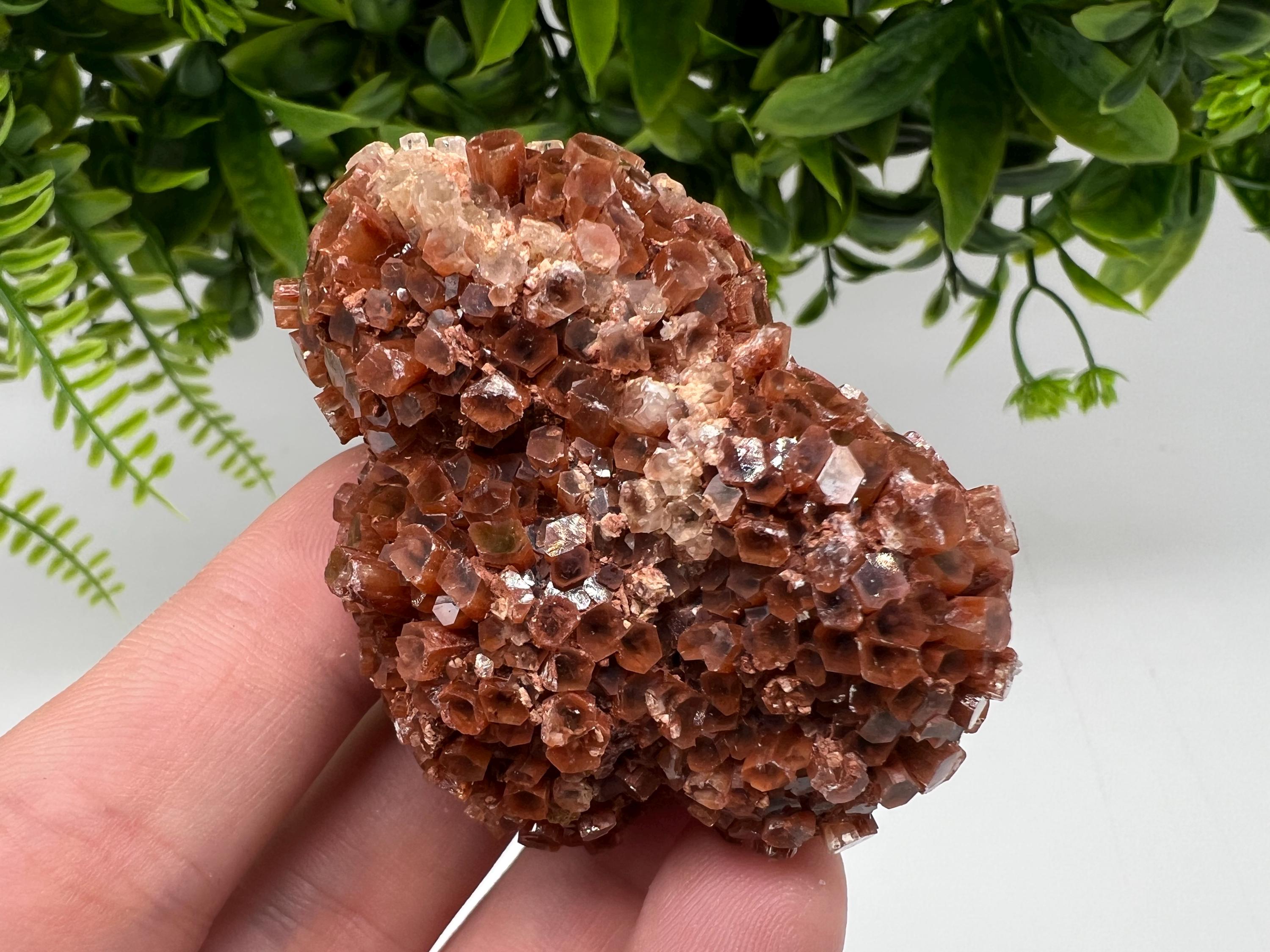 Large Aragonite Sputnik Cluster: Raw Moroccan Crystal Stone