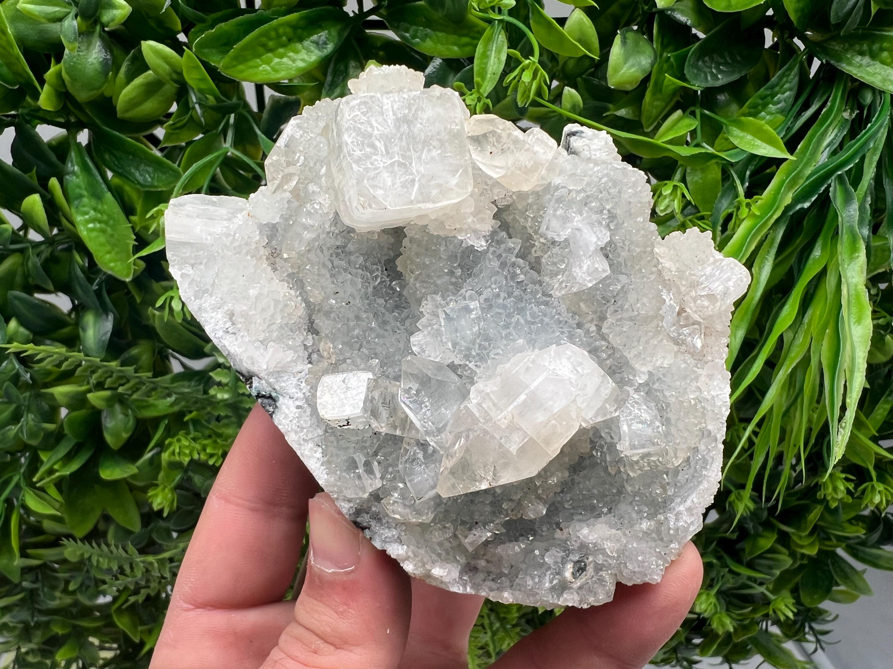 Apophyllite on Chalcedony Specimen: Transparent Crystal, India Minerals