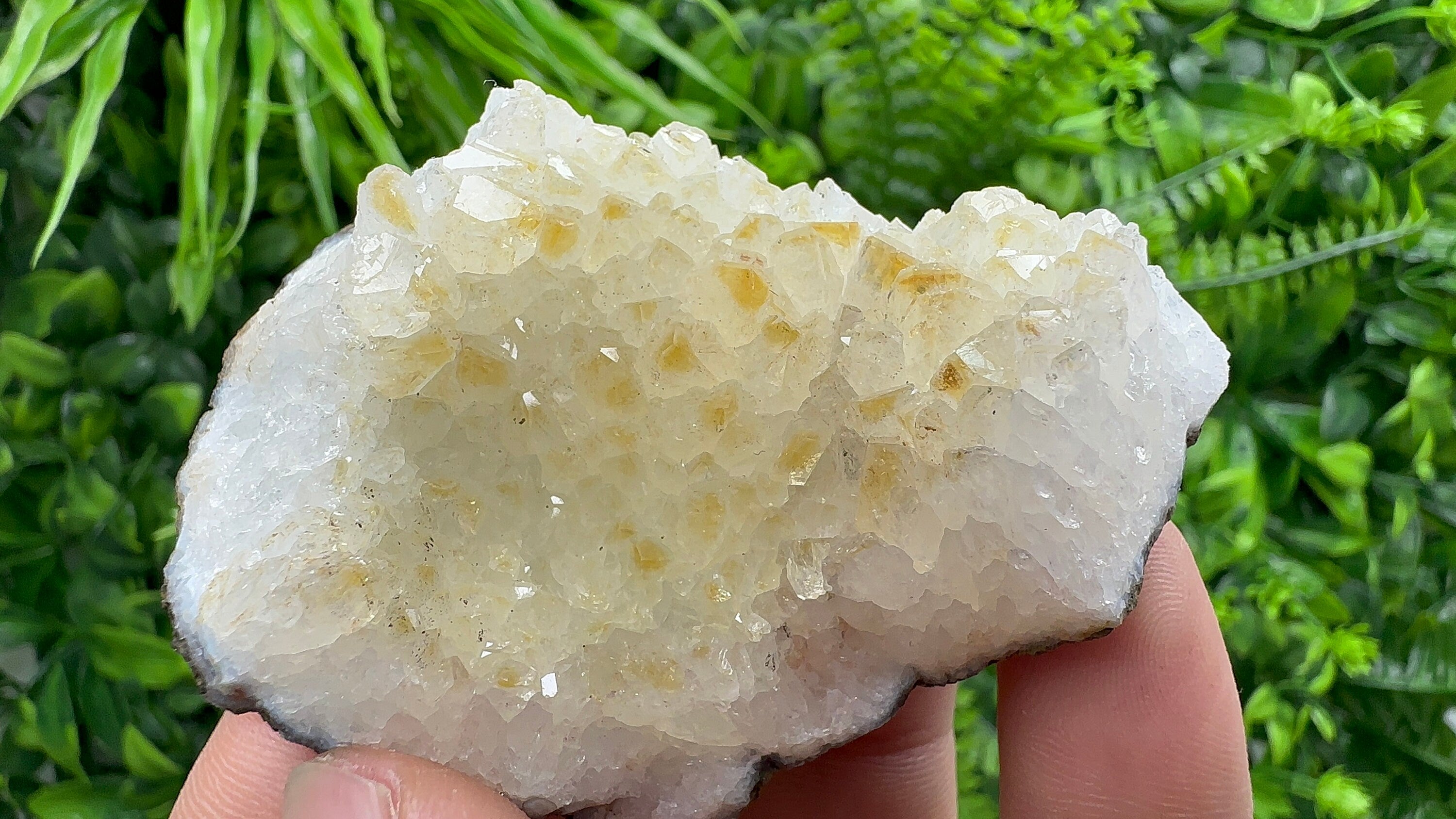 Citrine Crystal Cluster with Hematite Inclusions - Brazil