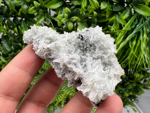 Chlorite Quartz Crystal Specimen: Borieva Mine, Bulgaria