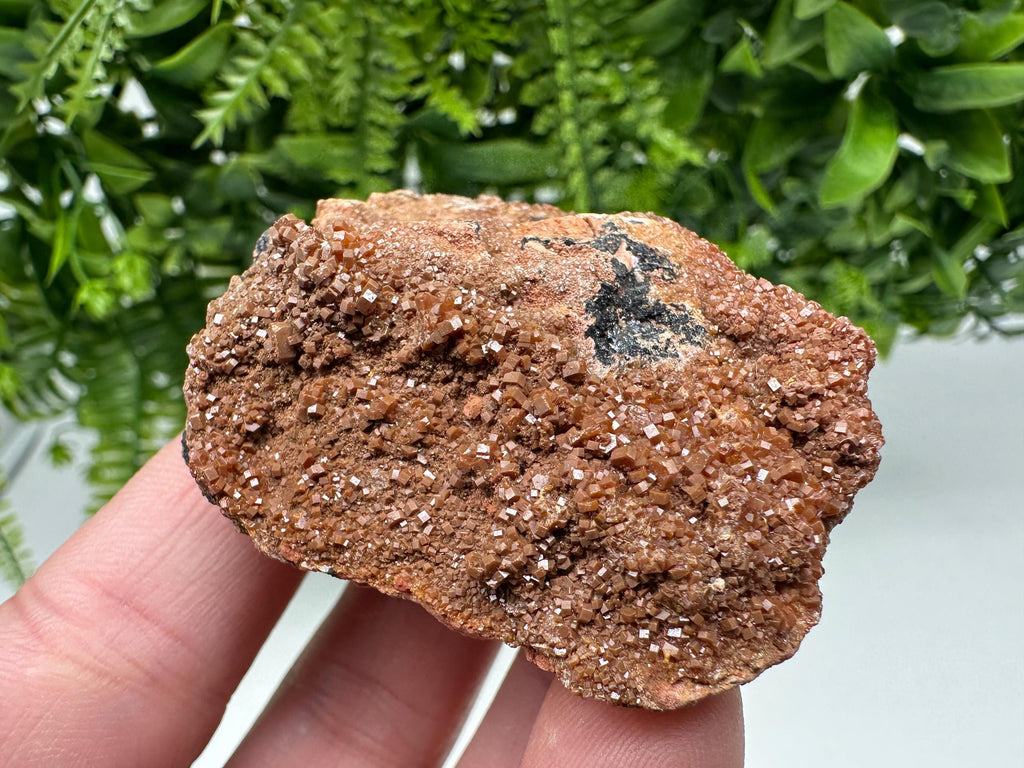 Red Vanadinite on Matrix from Marocco,crystal minerals Speciment cluster Vanadinite crystal Vanadinite Geology Vanadinite cluster minerals