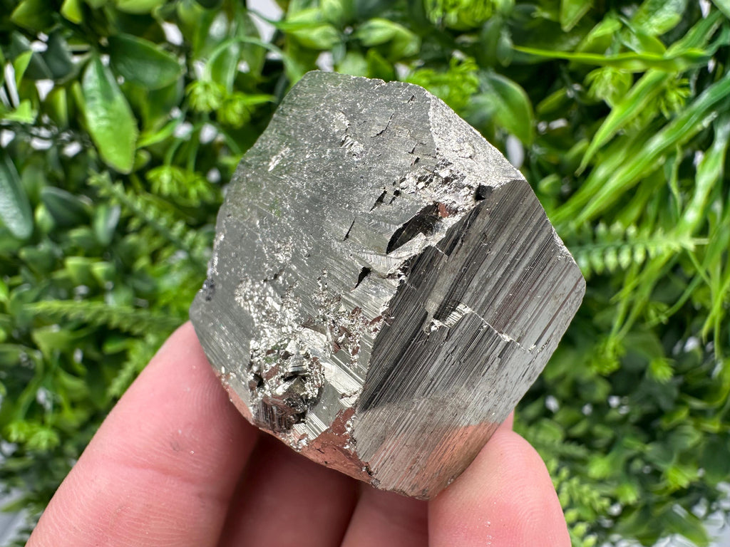 Natural Pyrite Crystal Mineral Specimen, Borieva Bulgaria