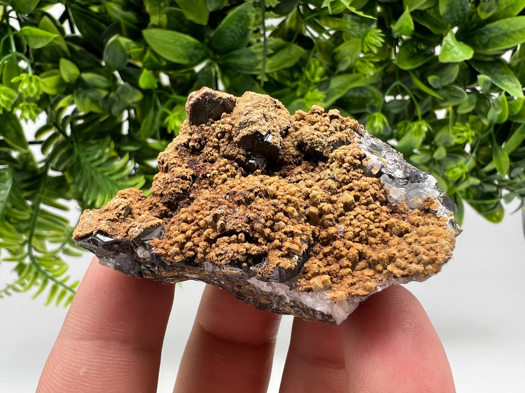 Transparent Quartz whit Sphalerite,Siderite Djurcovo Laki Bulgaria natural minerals souvenir crystal stone gift minerals collection rock