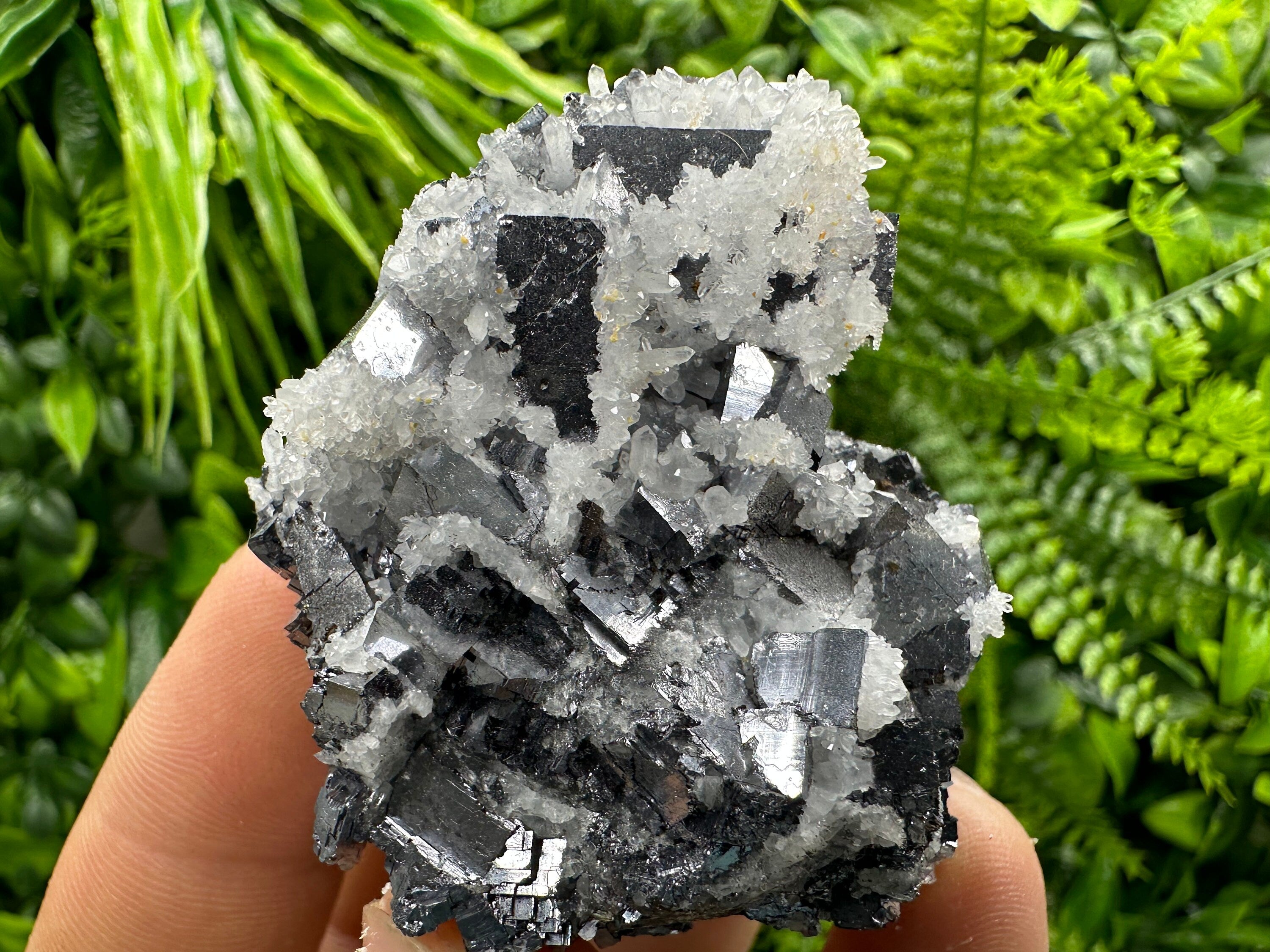 Galena with Quartz Crystal: Natural Mineral Specimen, Bulgaria