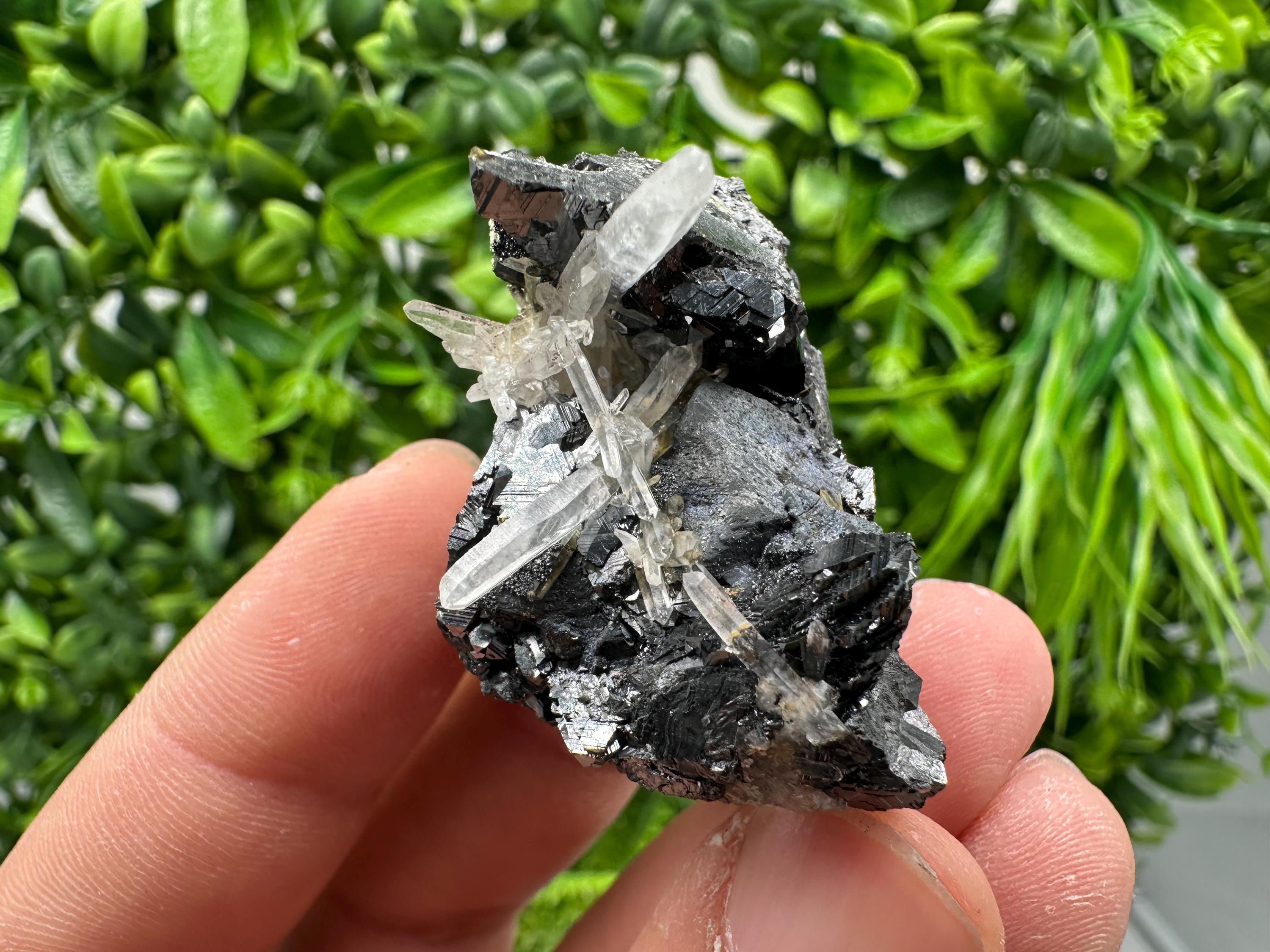 Wonderful Sphalerite Chalcopyrite on  Quartz whit Hematite feom 9 th September mine,Bulgaria,natural,collection mineral specimen,gift