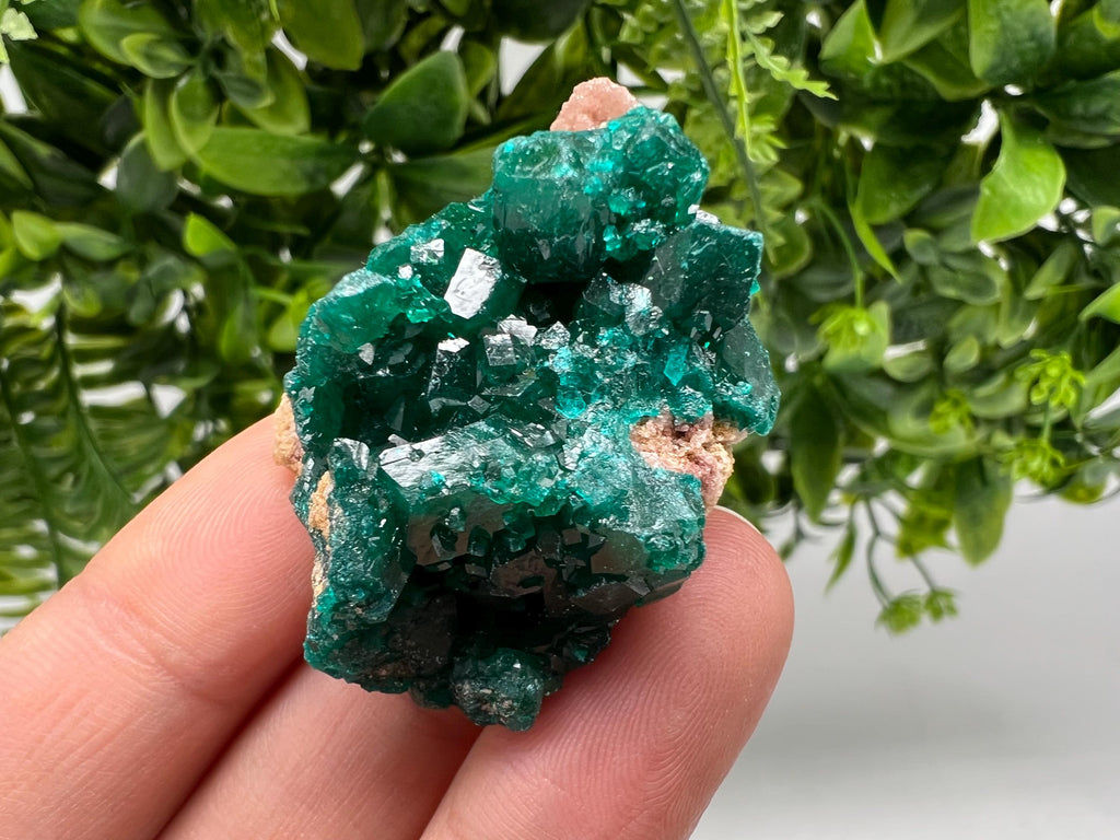 Stunning Green Dioptase from Sanda Hills,Mindouli,Pool Department,Mindouli District,Congo,green Dioptase,Dioptas Crystal,Dioptase collecting