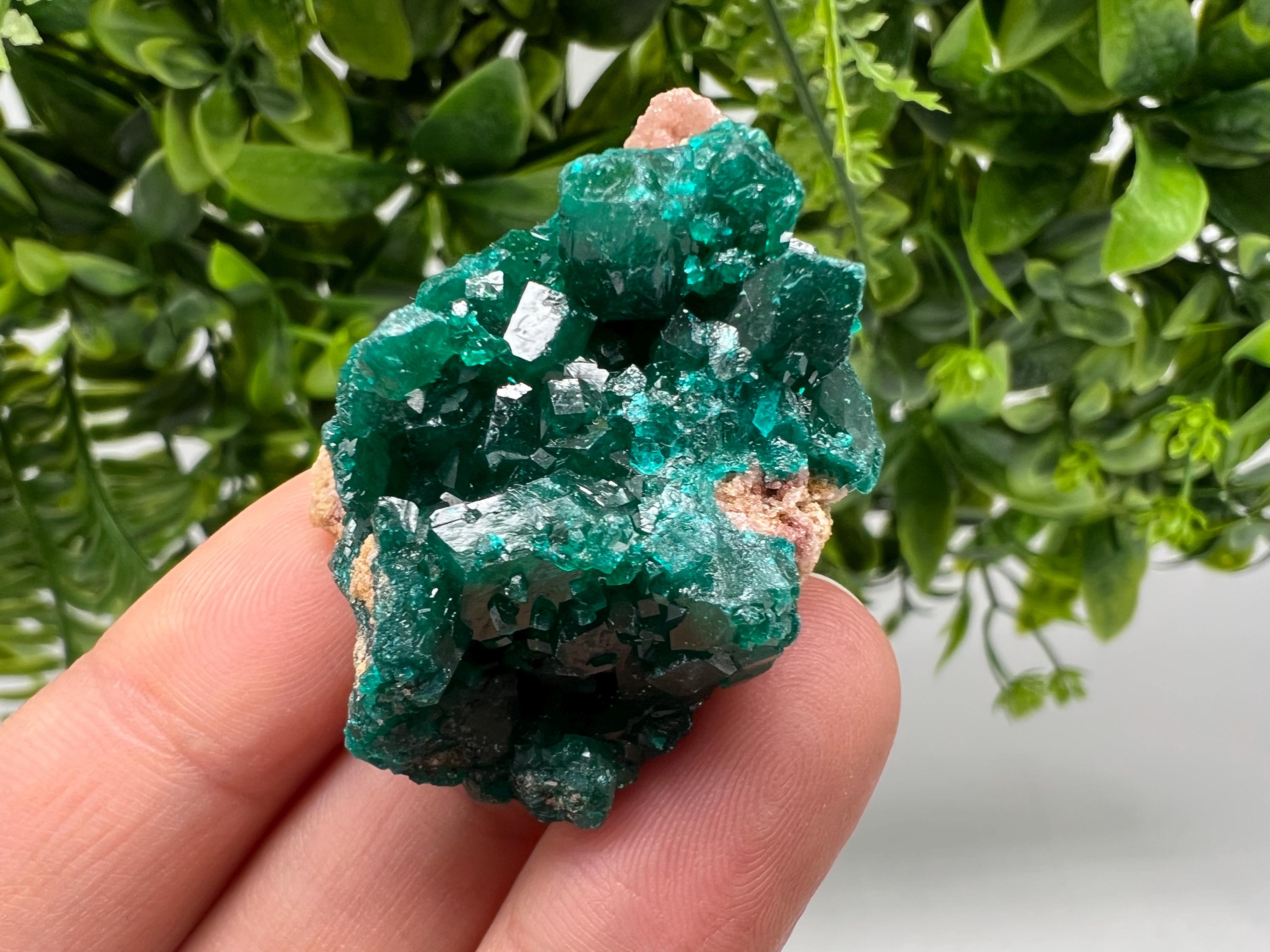 Stunning Green Dioptase from Sanda Hills,Mindouli,Pool Department,Mindouli District,Congo,green Dioptase,Dioptas Crystal,Dioptase collecting