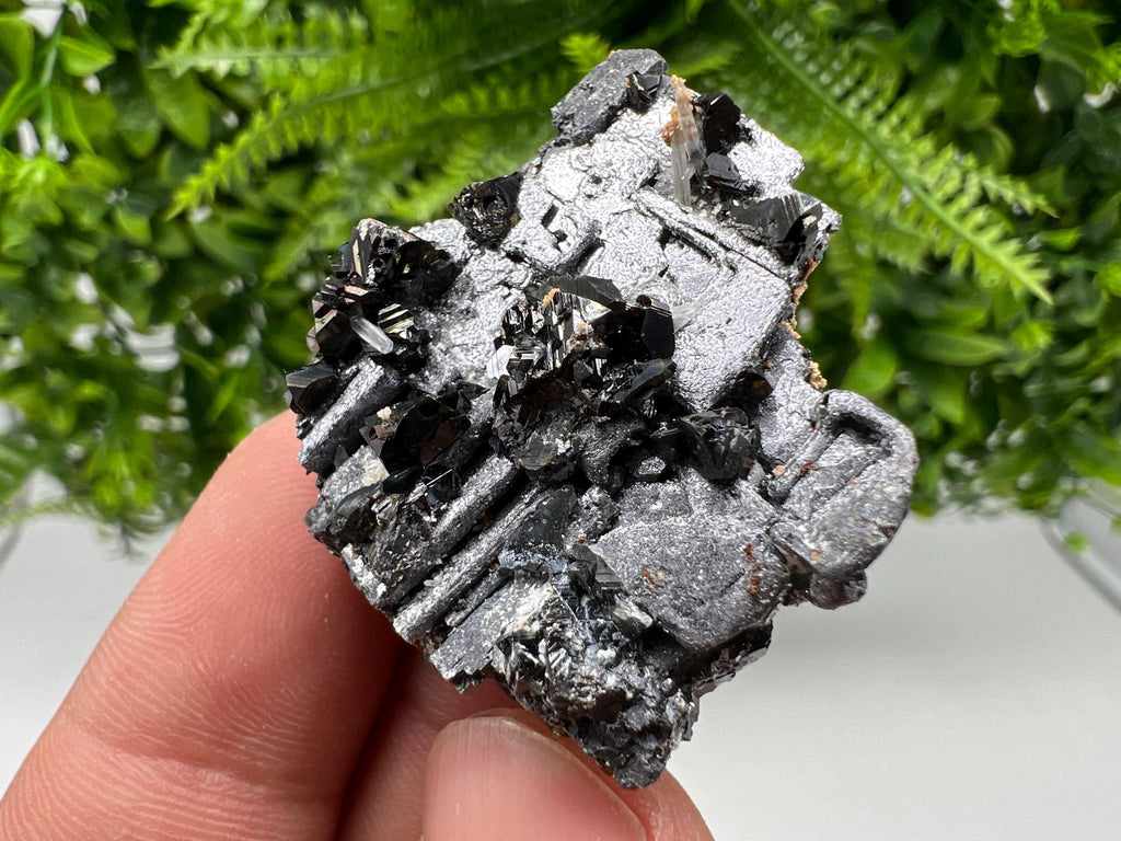 Skeletal Galena Sphalerite Mineral Specimen: Madan Bulgaria Collectible