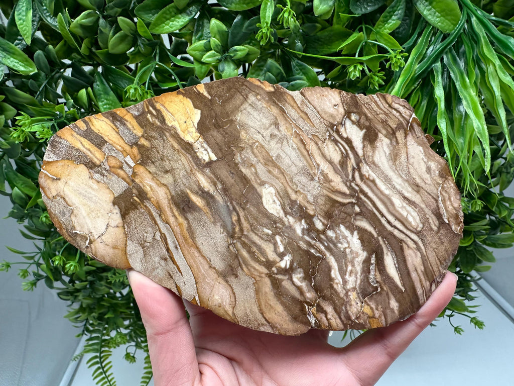 Polished Landscape Jasper Slab – Natural Scenic Stone Slice, Grounding Decor (18/11 CM)