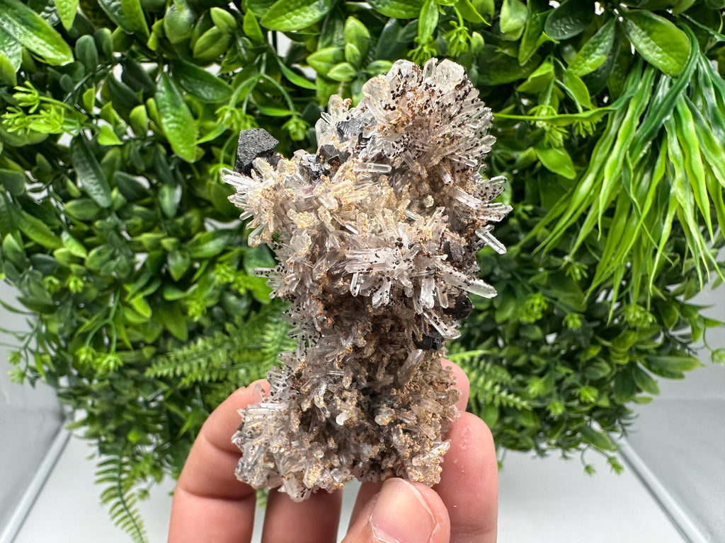 Wonderful Sphalerite Chalcopyrite on  Quartz whit Hematite feom 9 th September mine,Bulgaria,natural,collection mineral specimen,gift