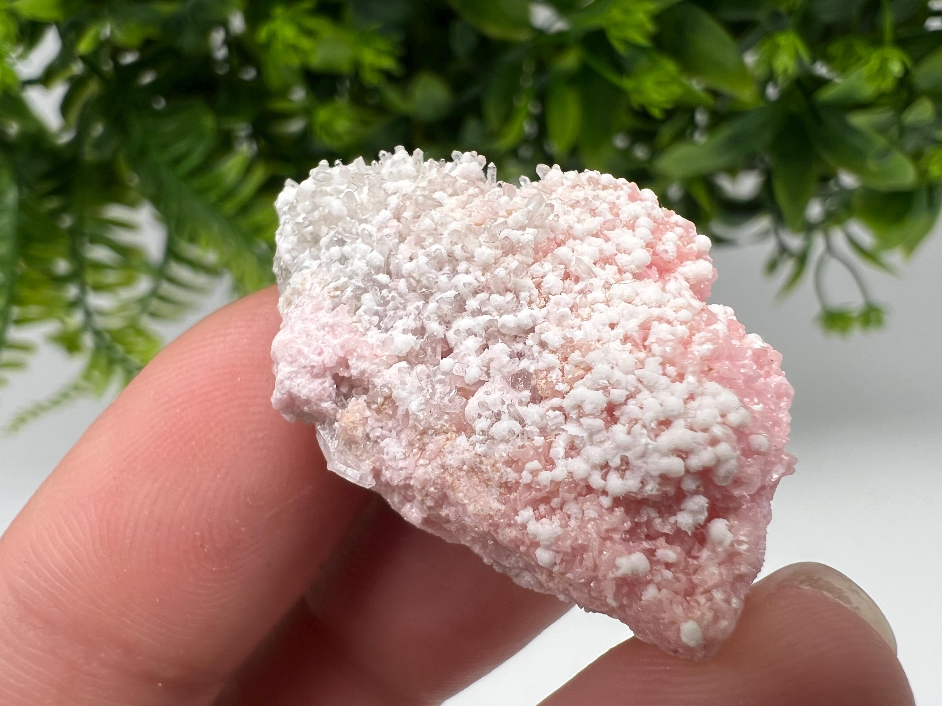 RARE Rhodochrosite whit white Calcite,pink mineral,Starnica Mine,Davidcovo,Bulgaria natural mineral,souvenir crystal,home decor,collectible
