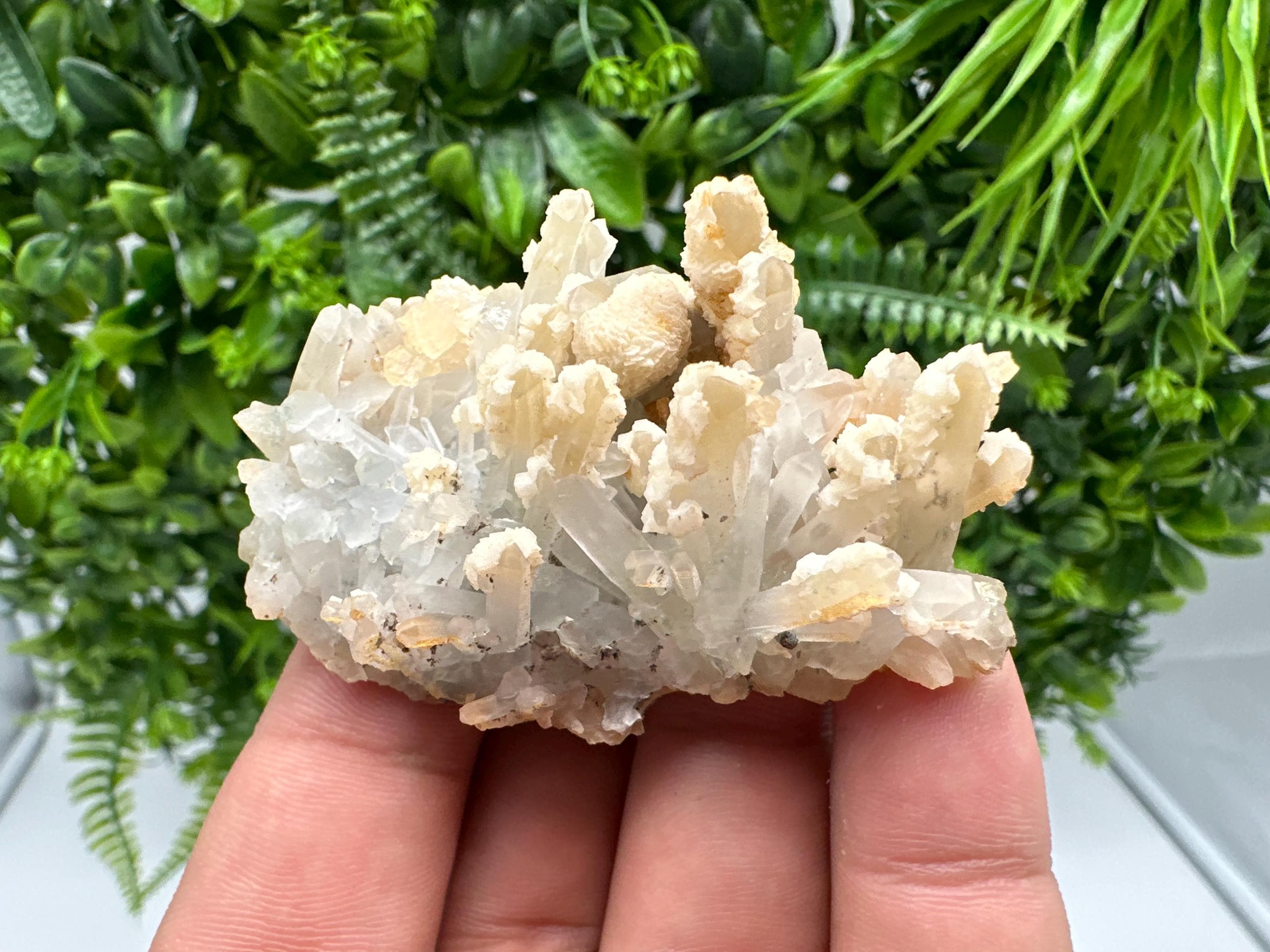 Calcite on Green Quartz: Djurcovo Mine, Bulgaria - Healing Crystal