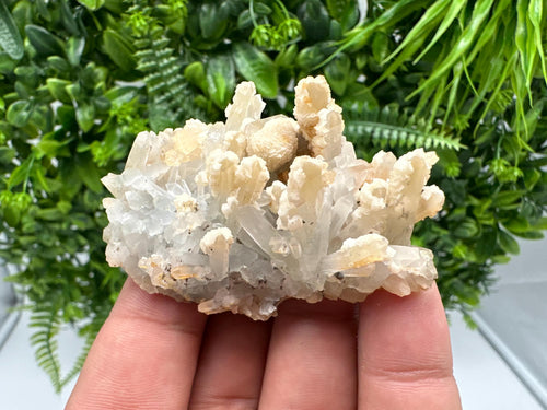 Calcite on Green Quartz: Djurcovo Mine, Bulgaria - Healing Crystal